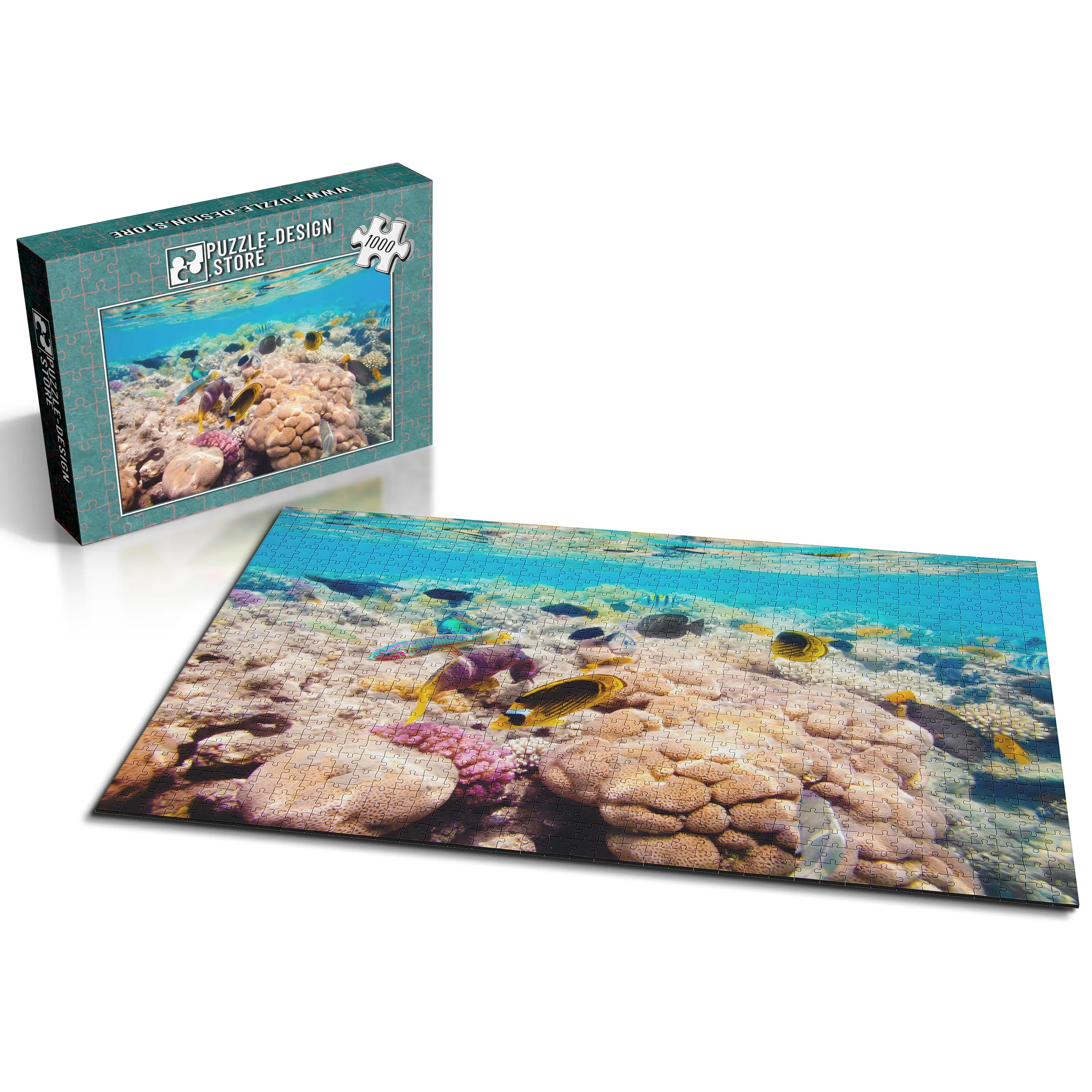 Korallenriff Vielfalt