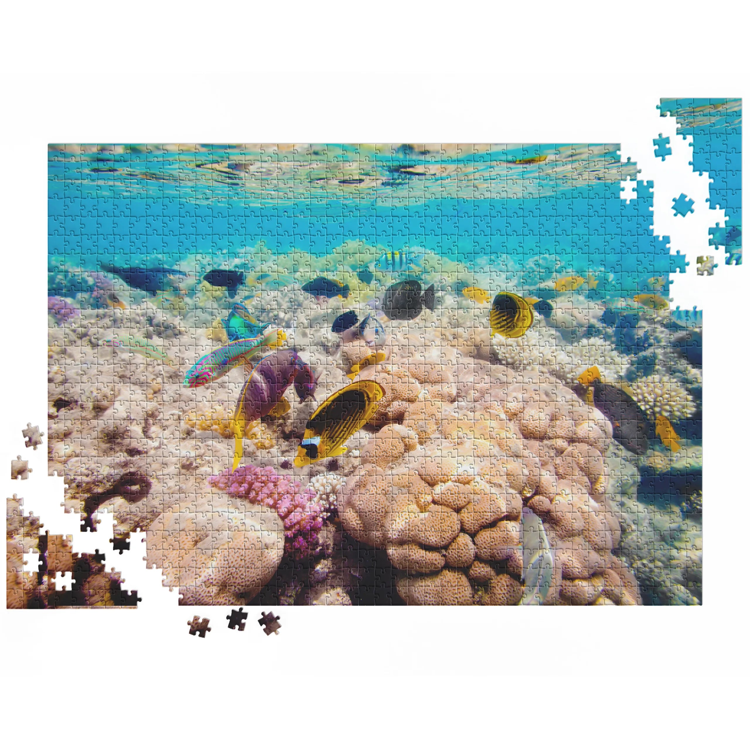 Korallenriff Vielfalt