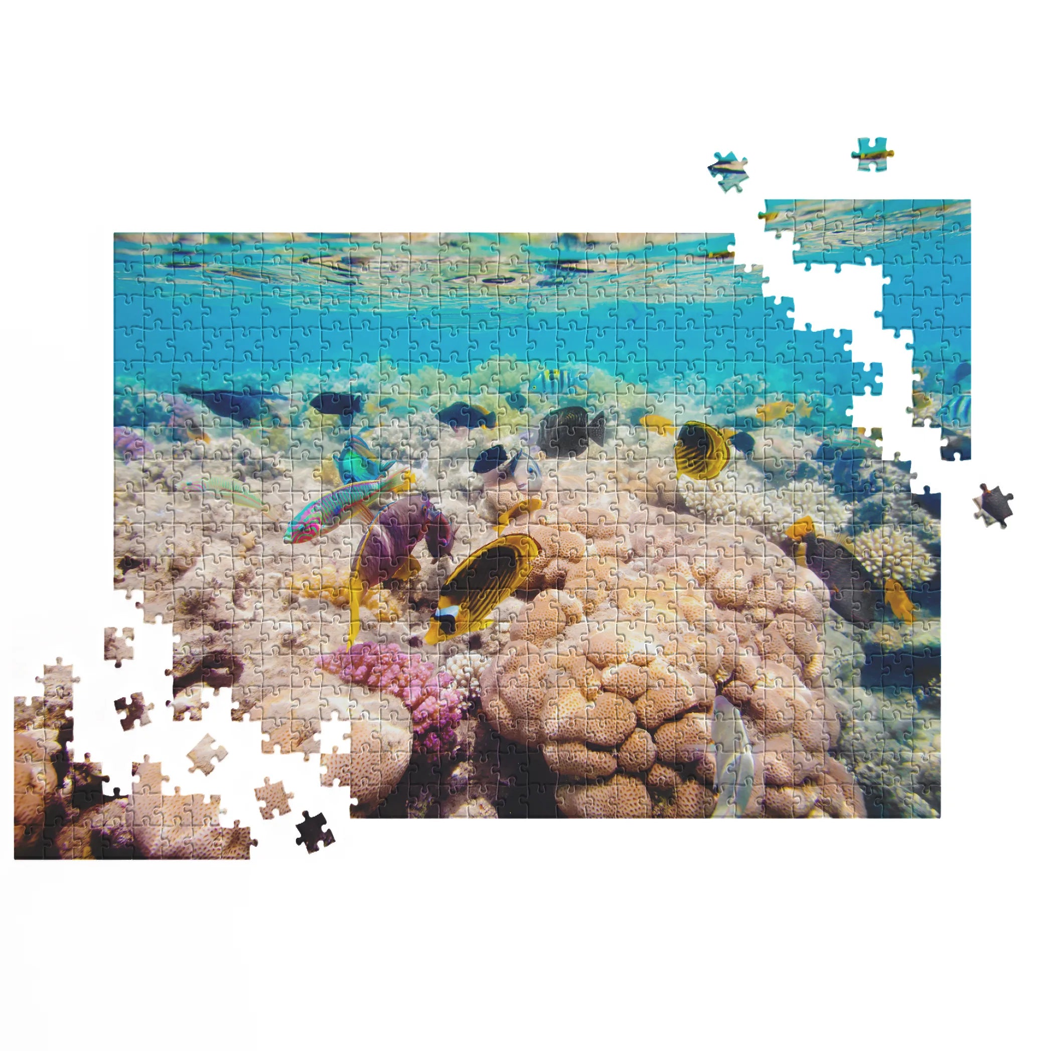 Korallenriff Vielfalt