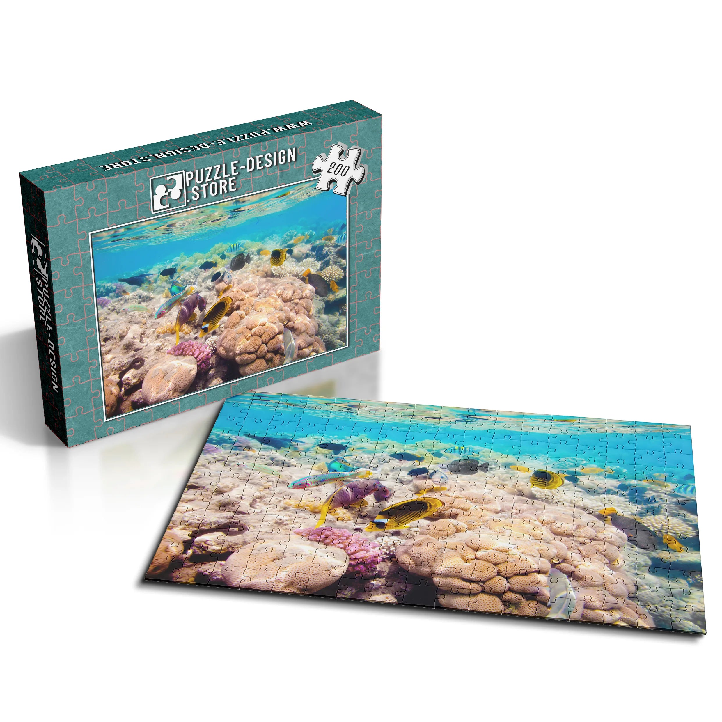 Korallenriff Vielfalt