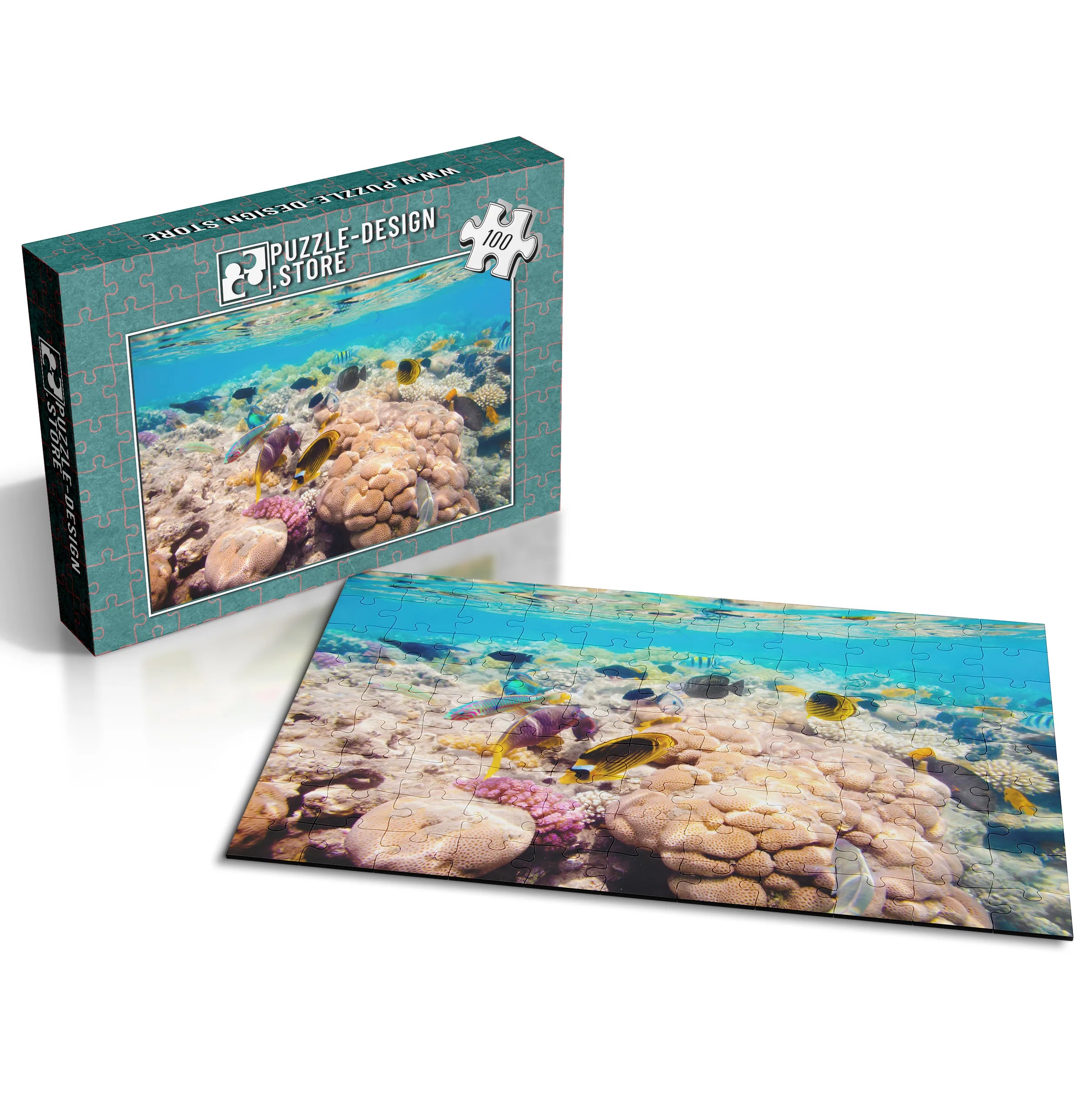 Korallenriff Vielfalt