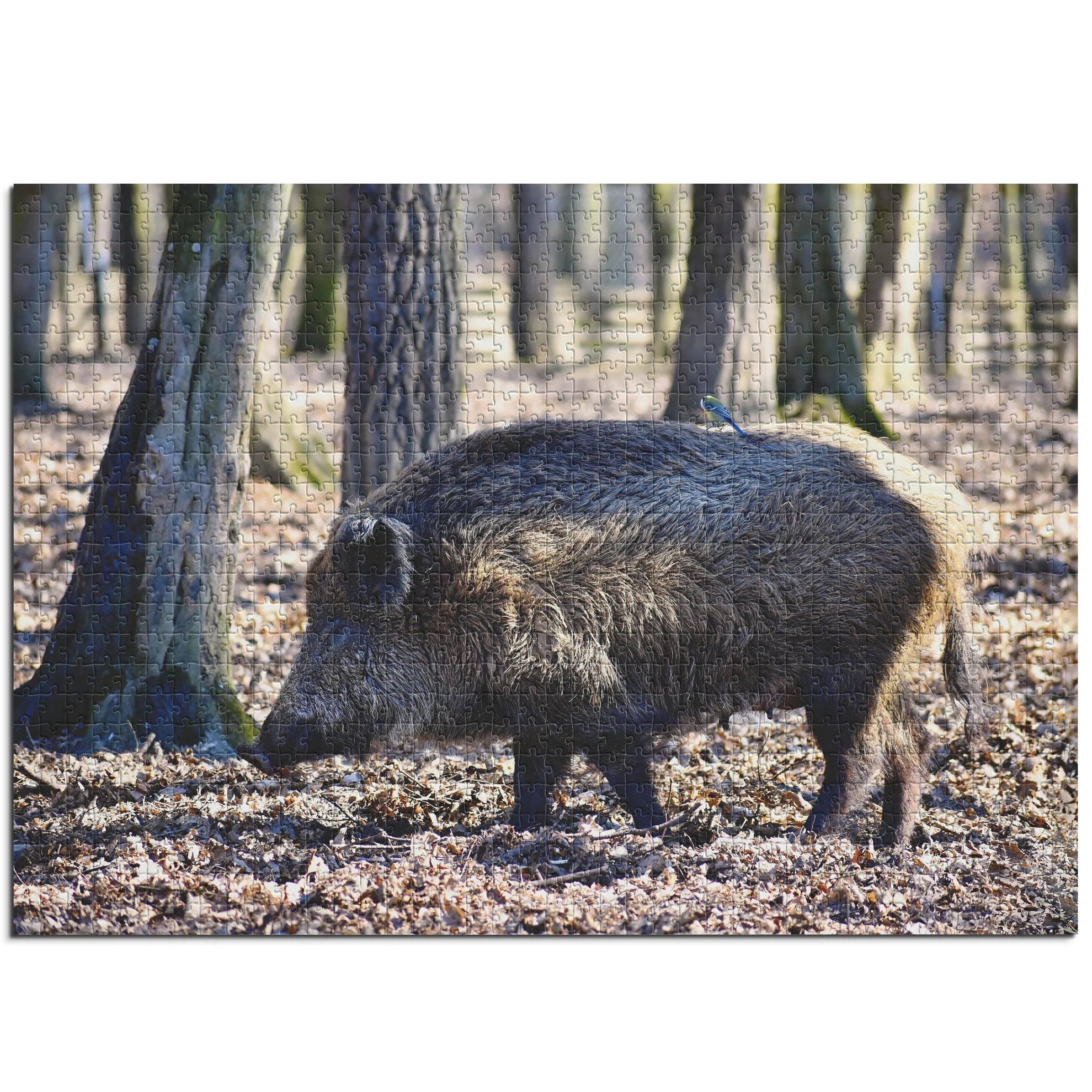 Wildschwein im Wald