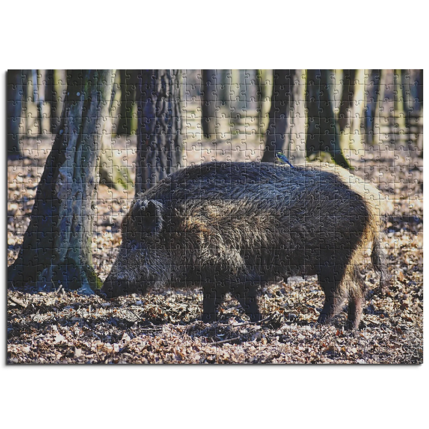Wildschwein im Wald