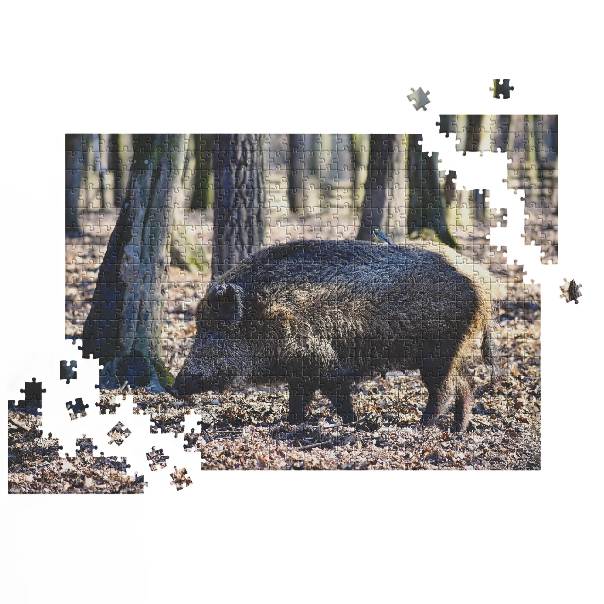 Wildschwein im Wald