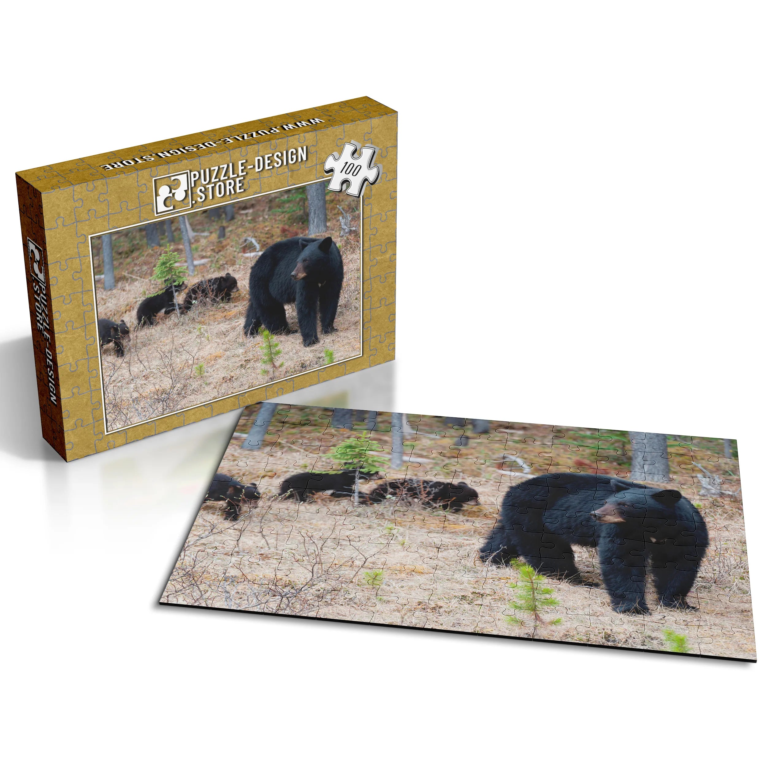 Schwarzbär mit Jungen