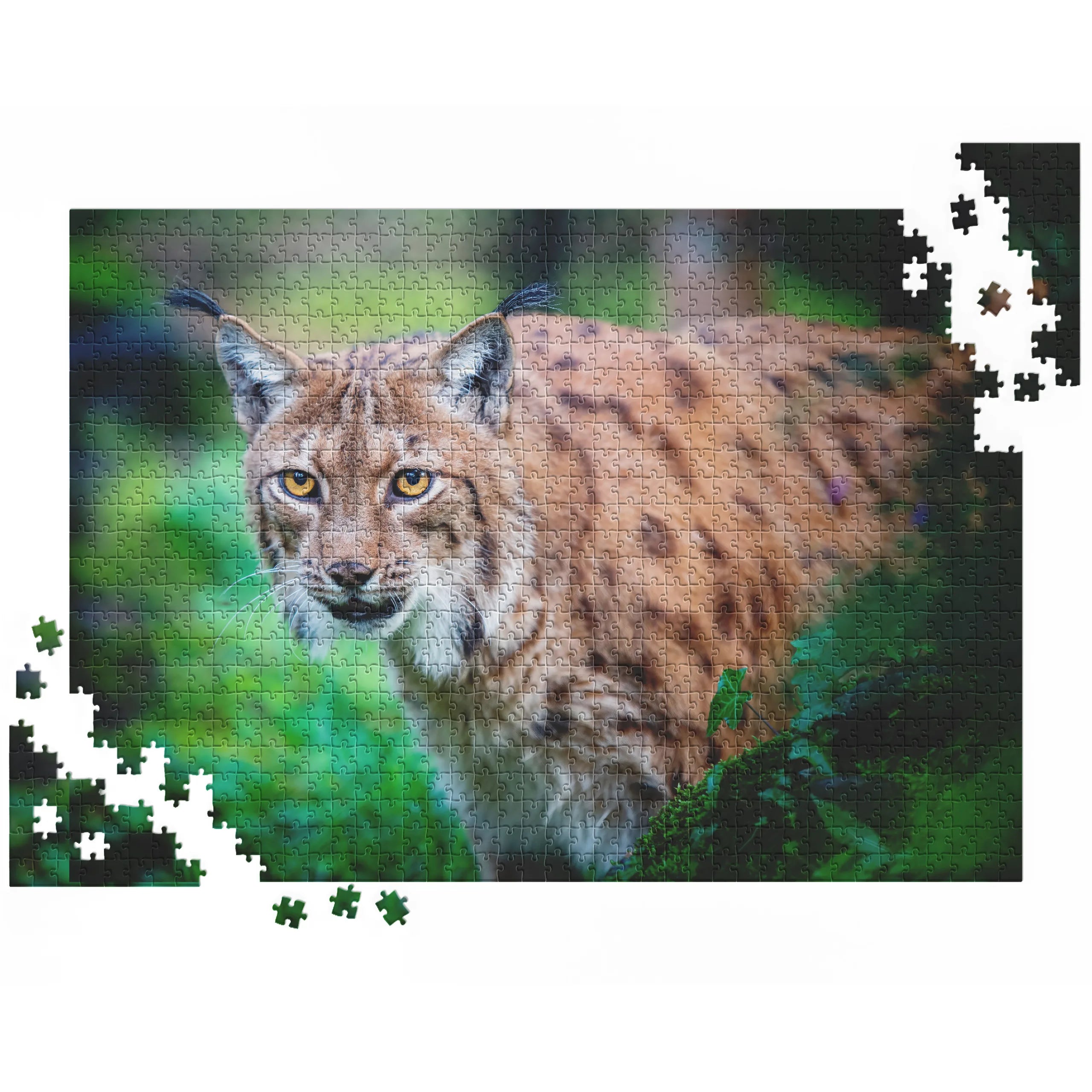 Luchs im Unterholz