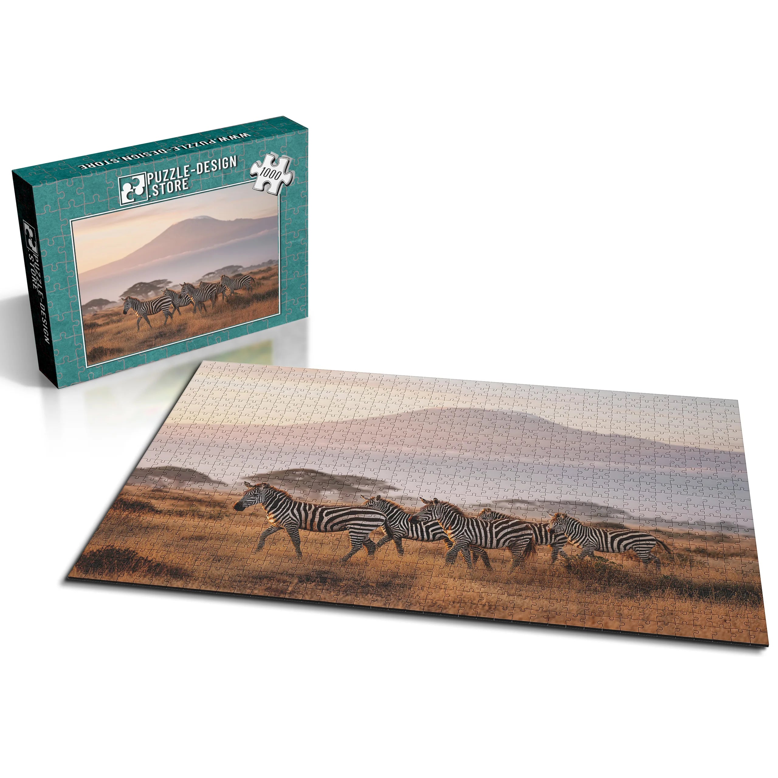 Kilimandscharo Zebrasafari