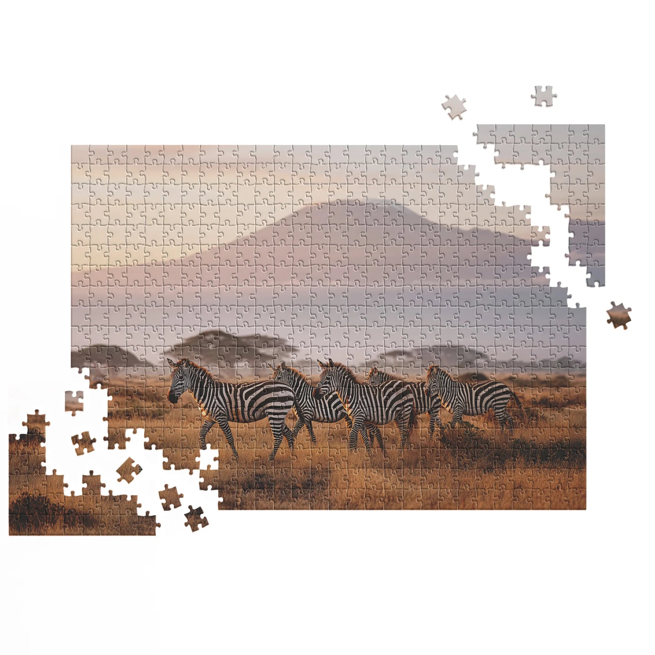 Kilimandscharo Zebrasafari