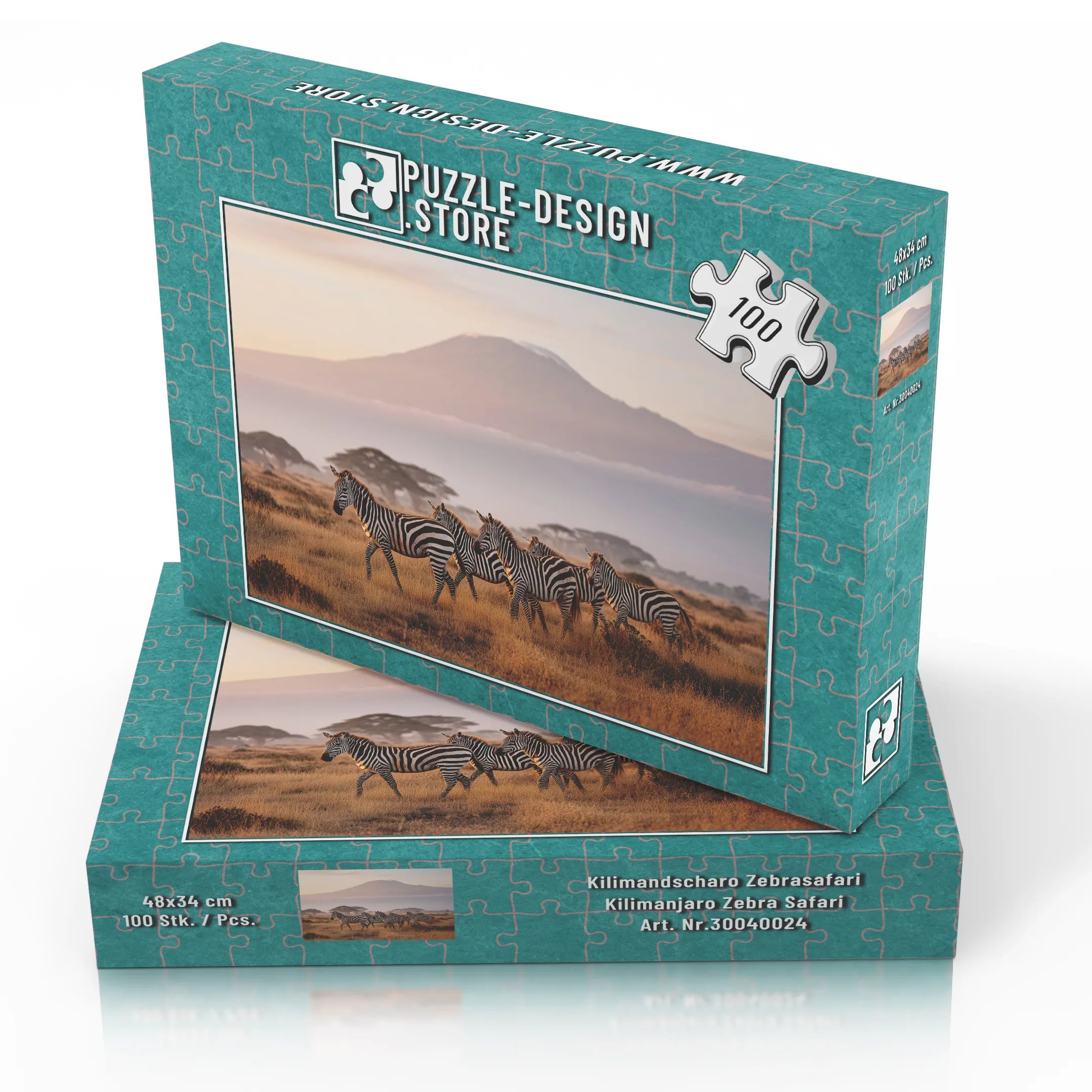 Kilimandscharo Zebrasafari