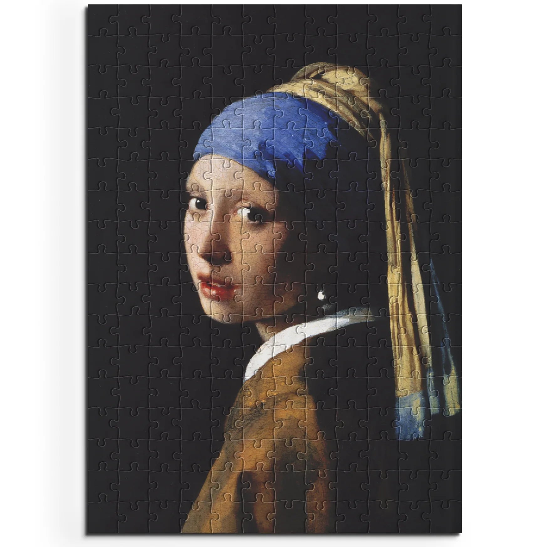 Johannes Vermeer / Das Mädchen mit dem Perlenohrring