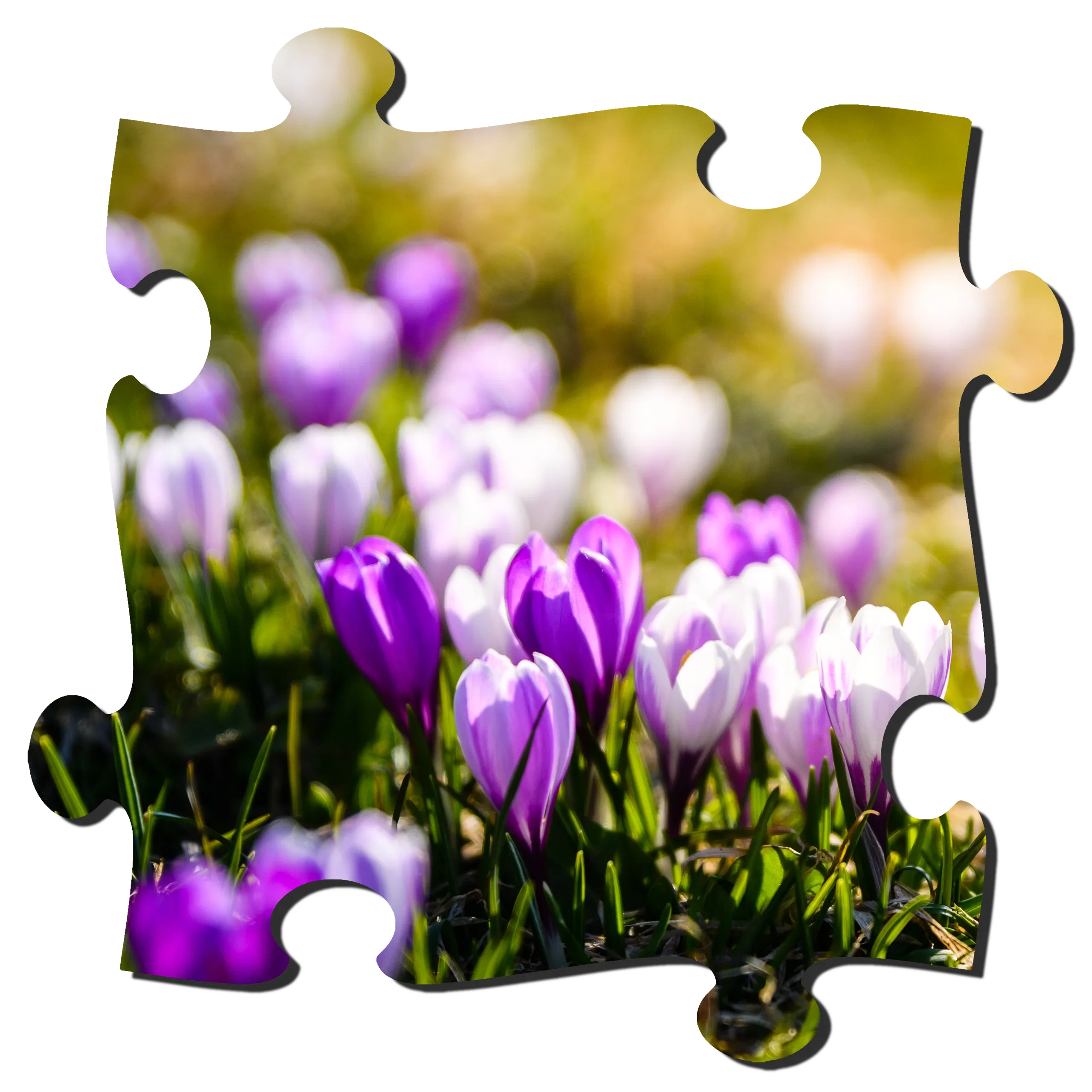 Gärten,Blumen & Landschaften