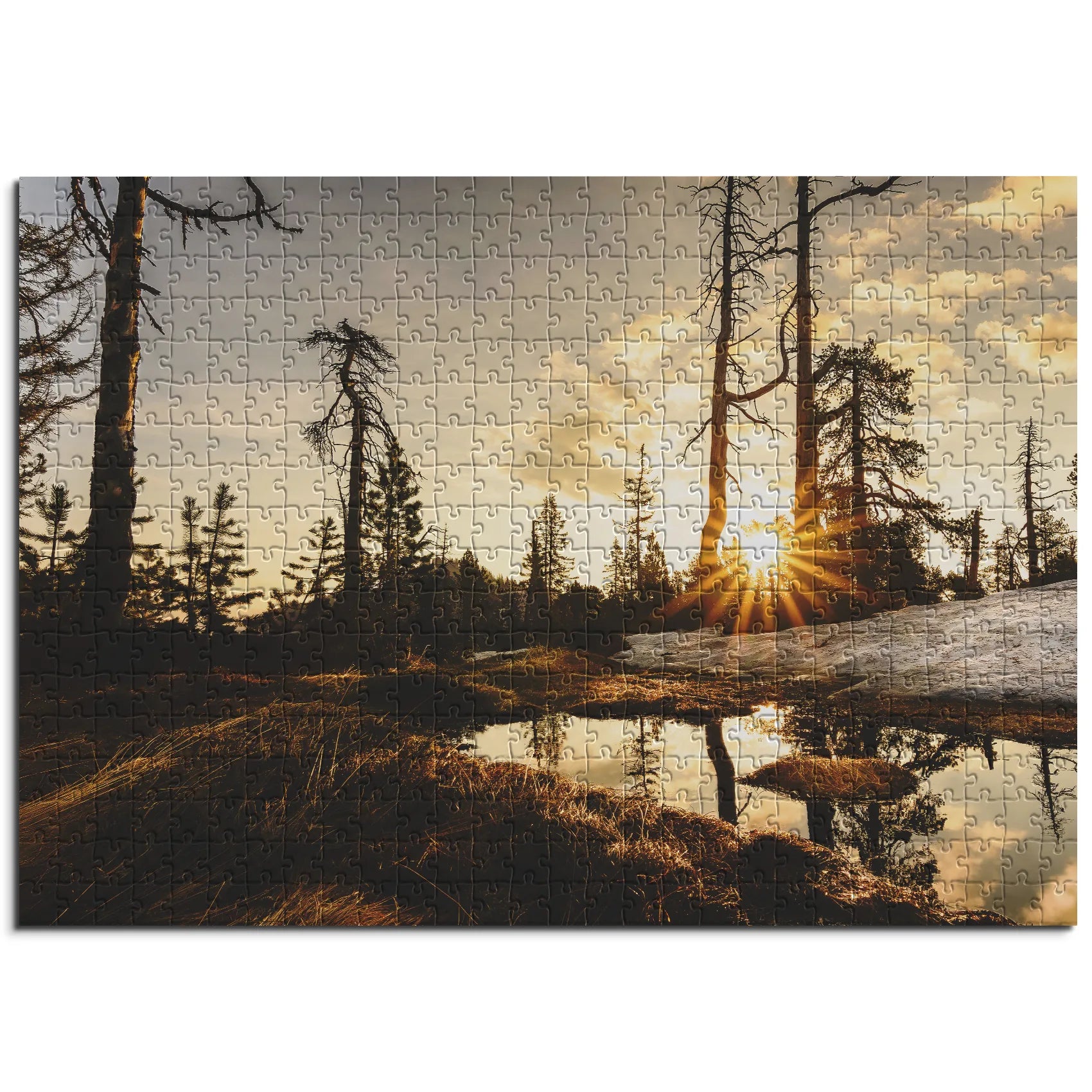 tourbière surélevée