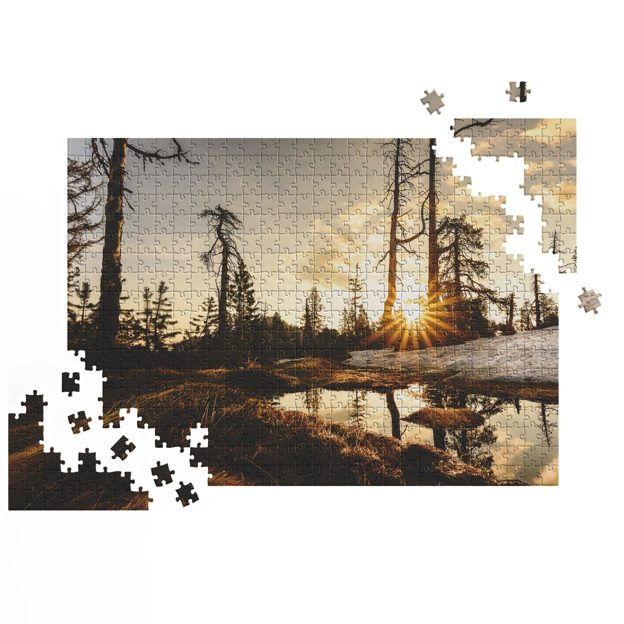 tourbière surélevée