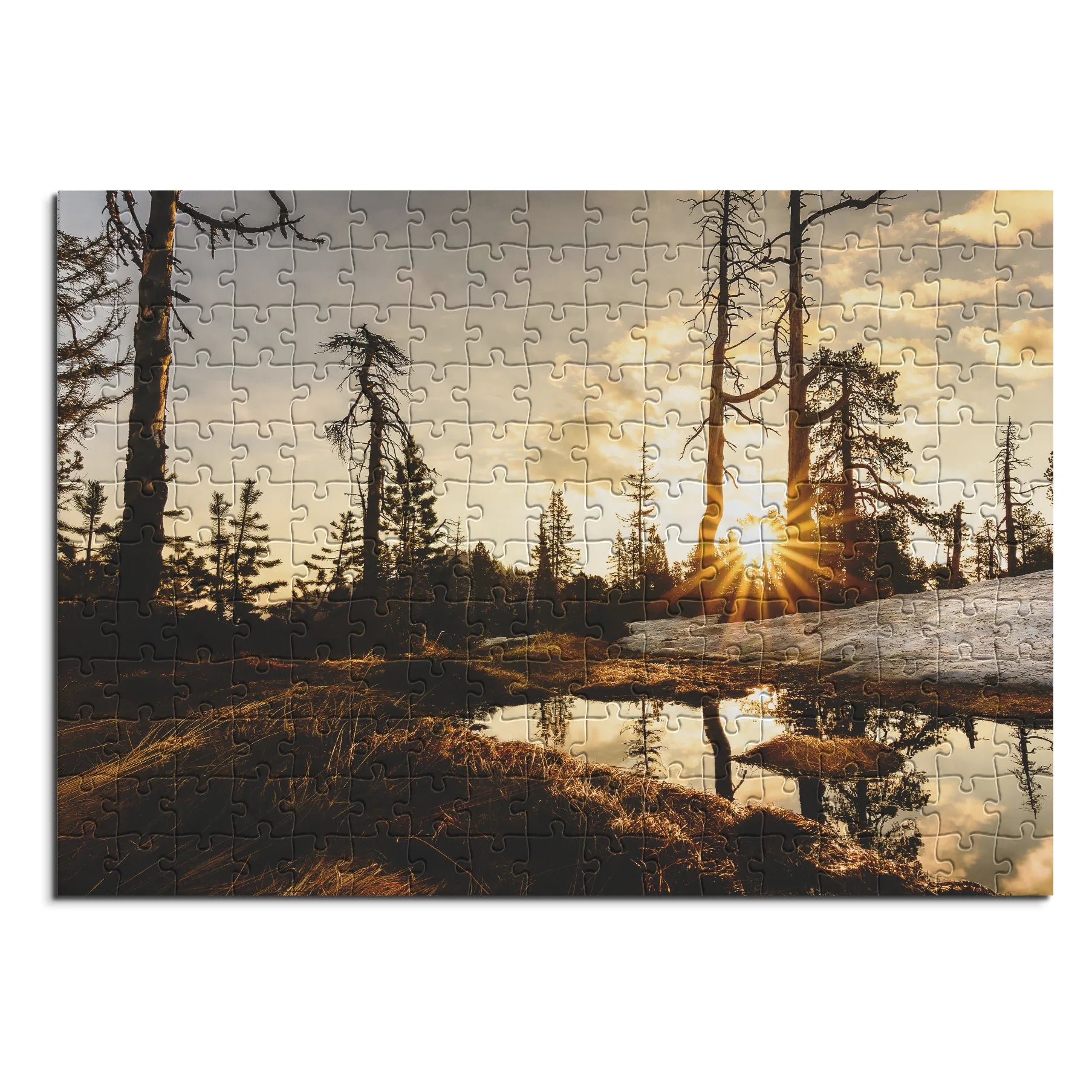 tourbière surélevée