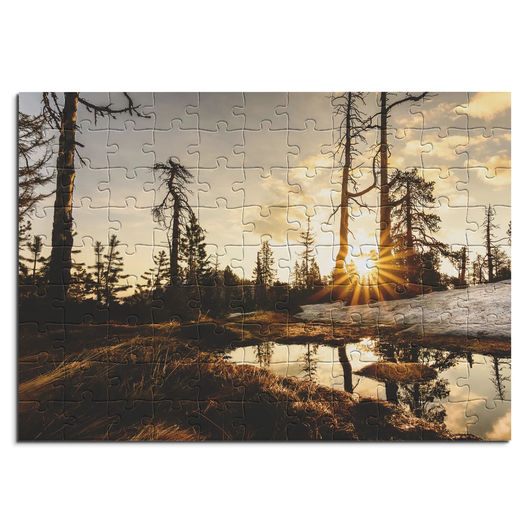 tourbière surélevée