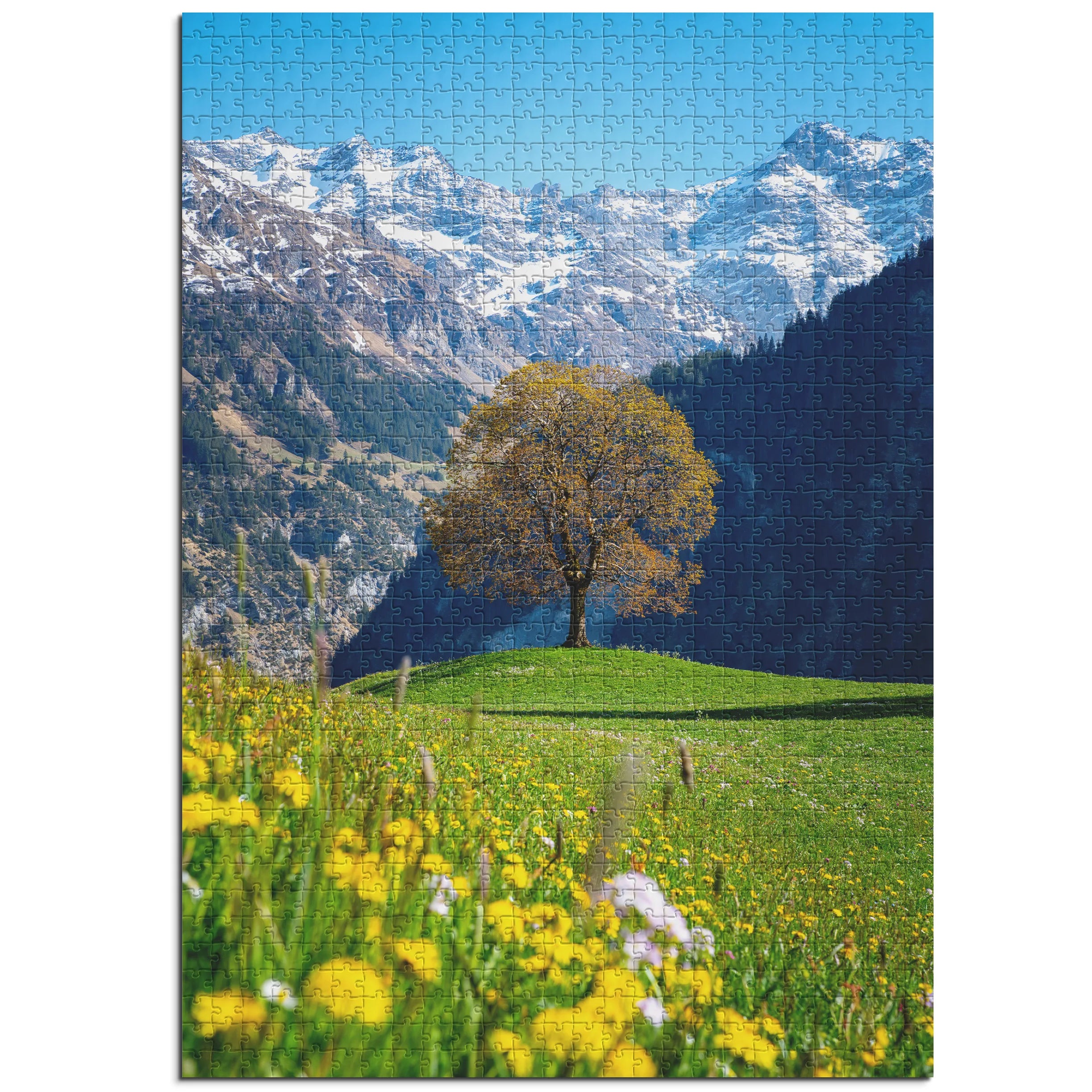 Frühling in den Bergen