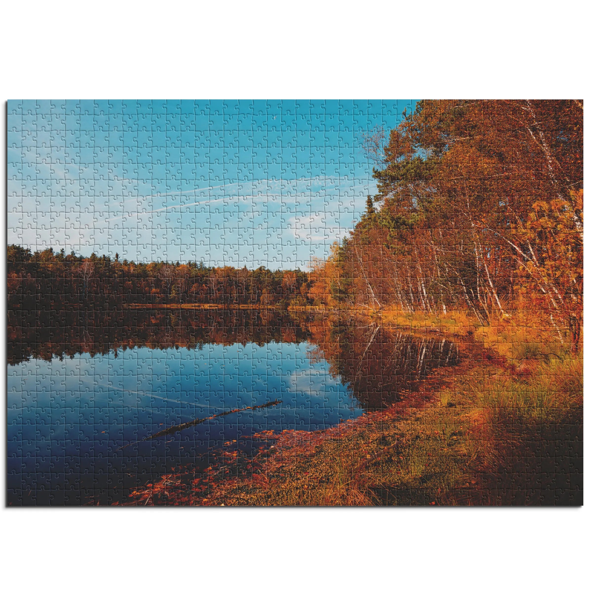 Herbstlicher Seeuferblick