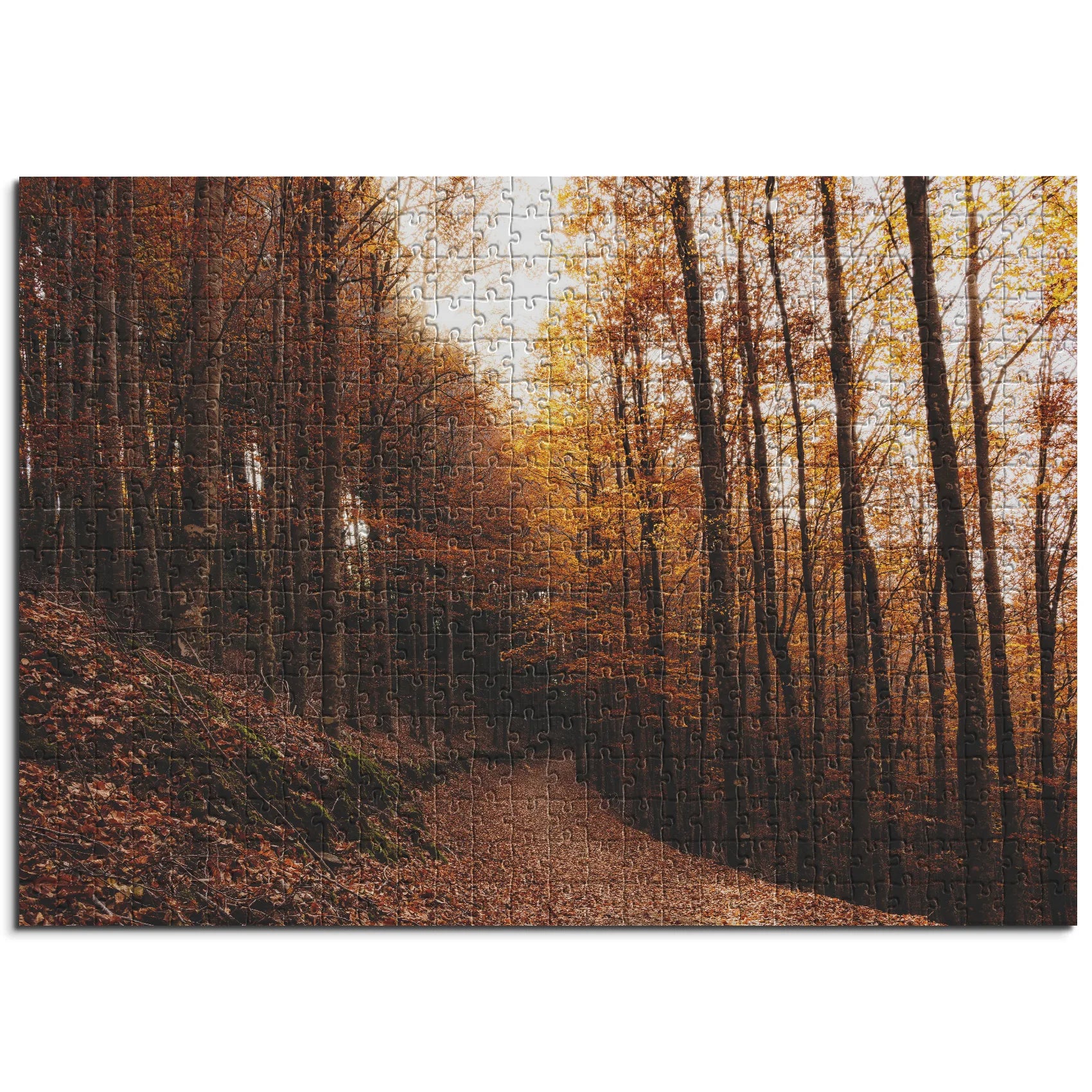 Goldener Buchenwaldweg