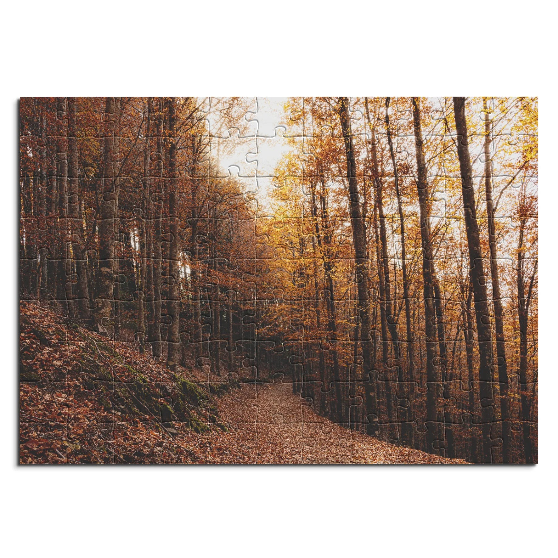 Goldener Buchenwaldweg