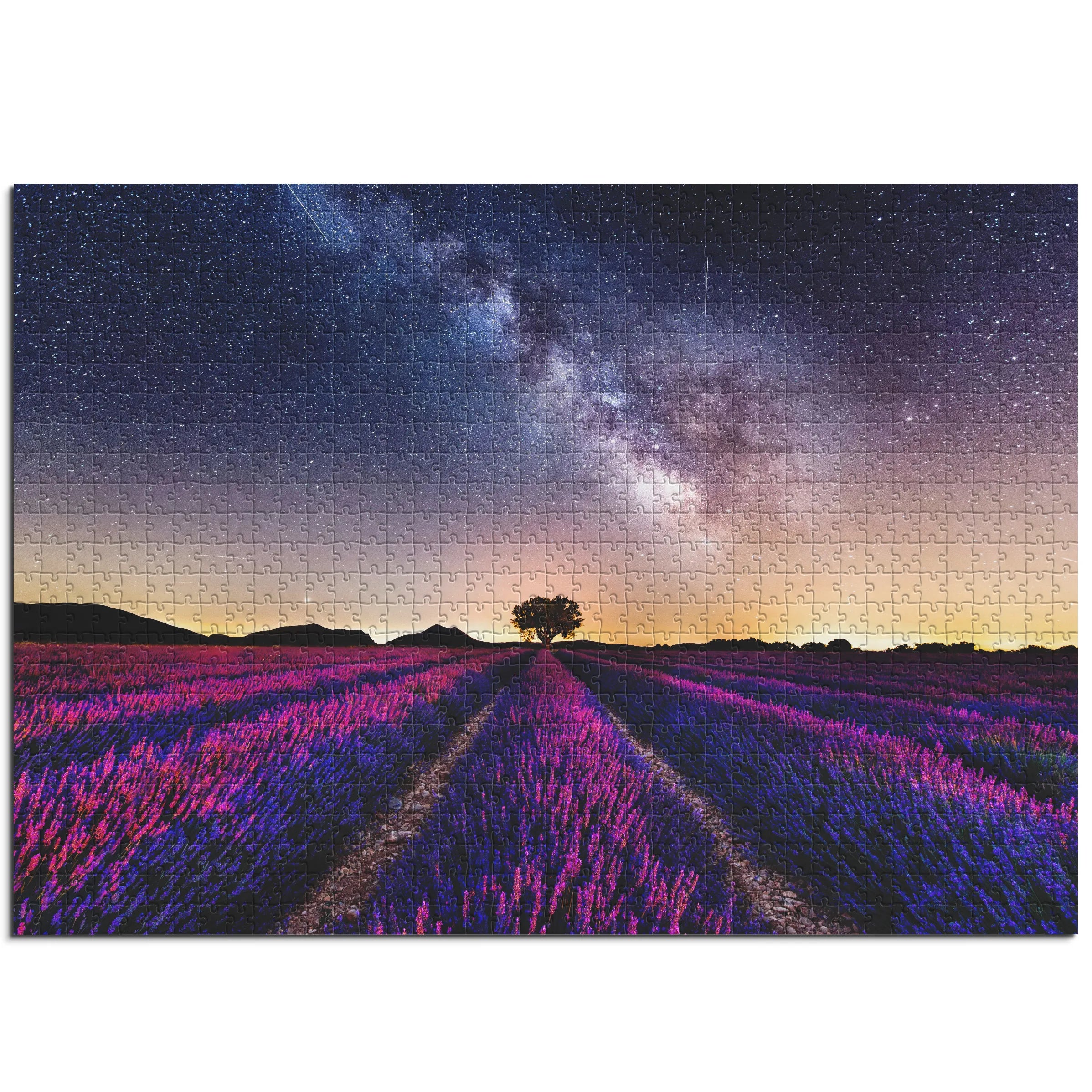 Farbenfrohes Lavendelfeld