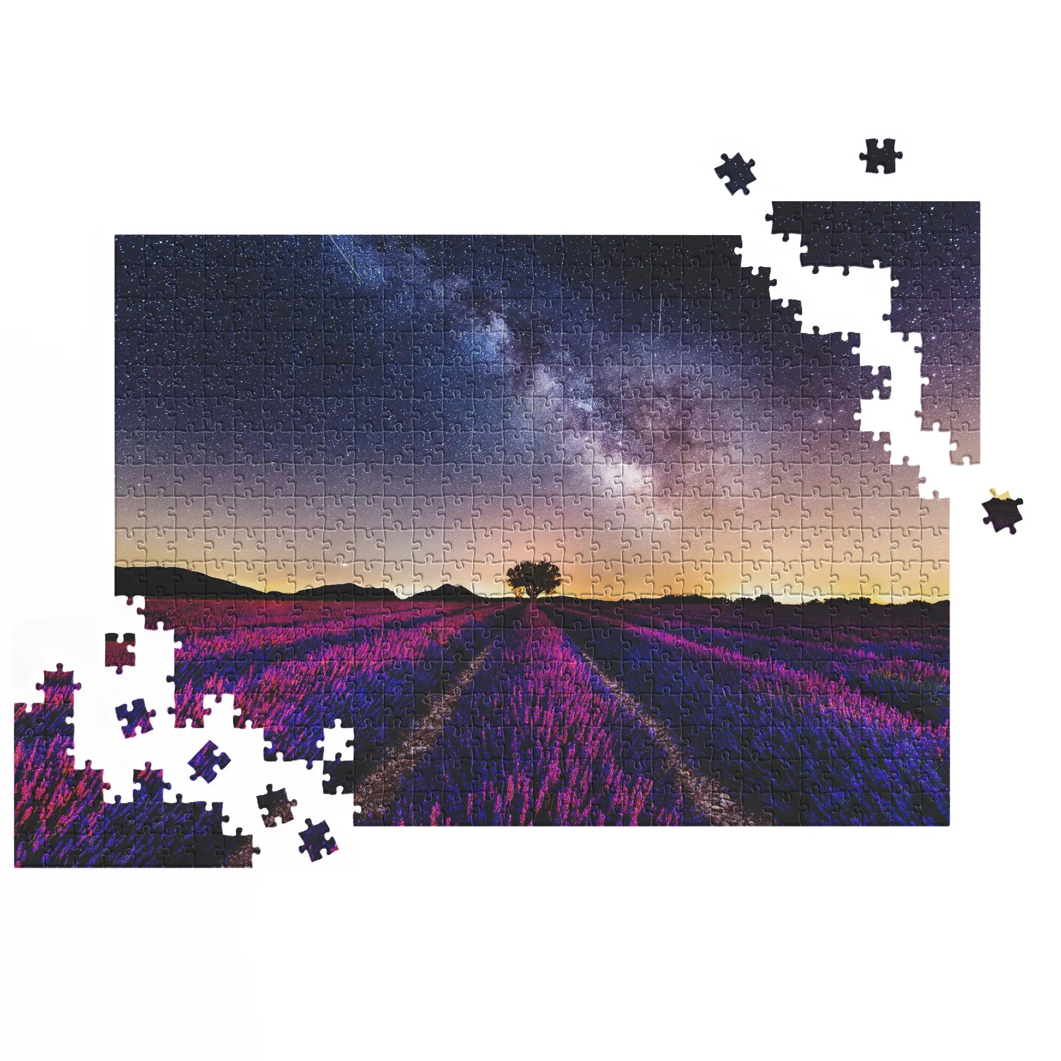 Farbenfrohes Lavendelfeld