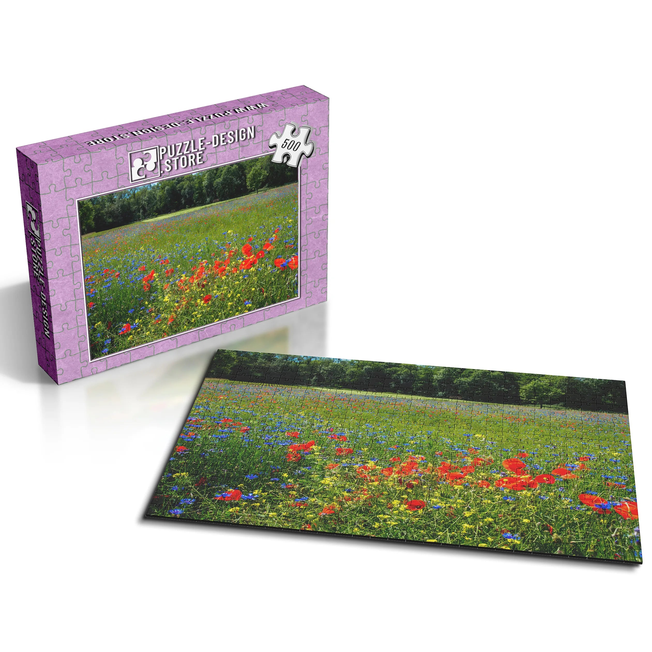 prairie de fleurs sauvages