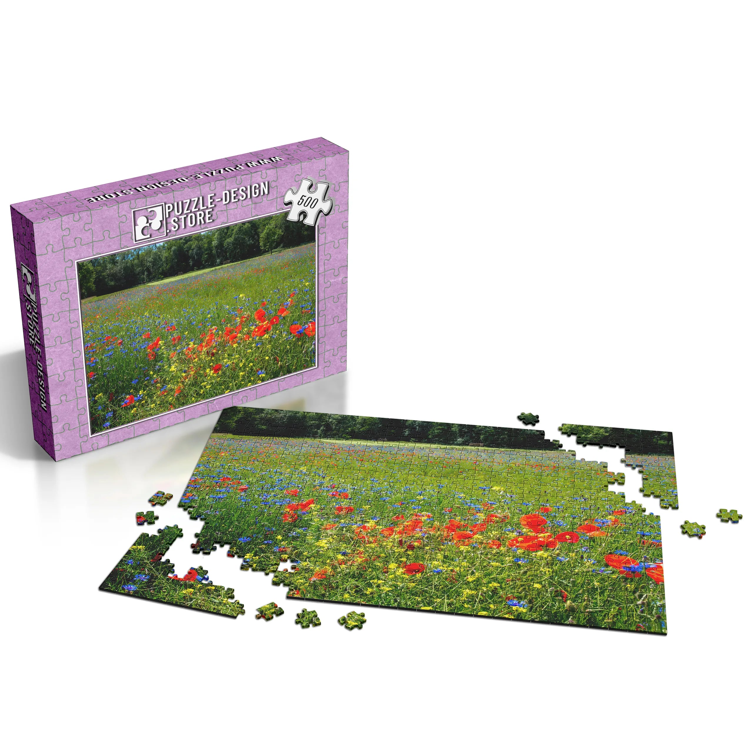 prairie de fleurs sauvages