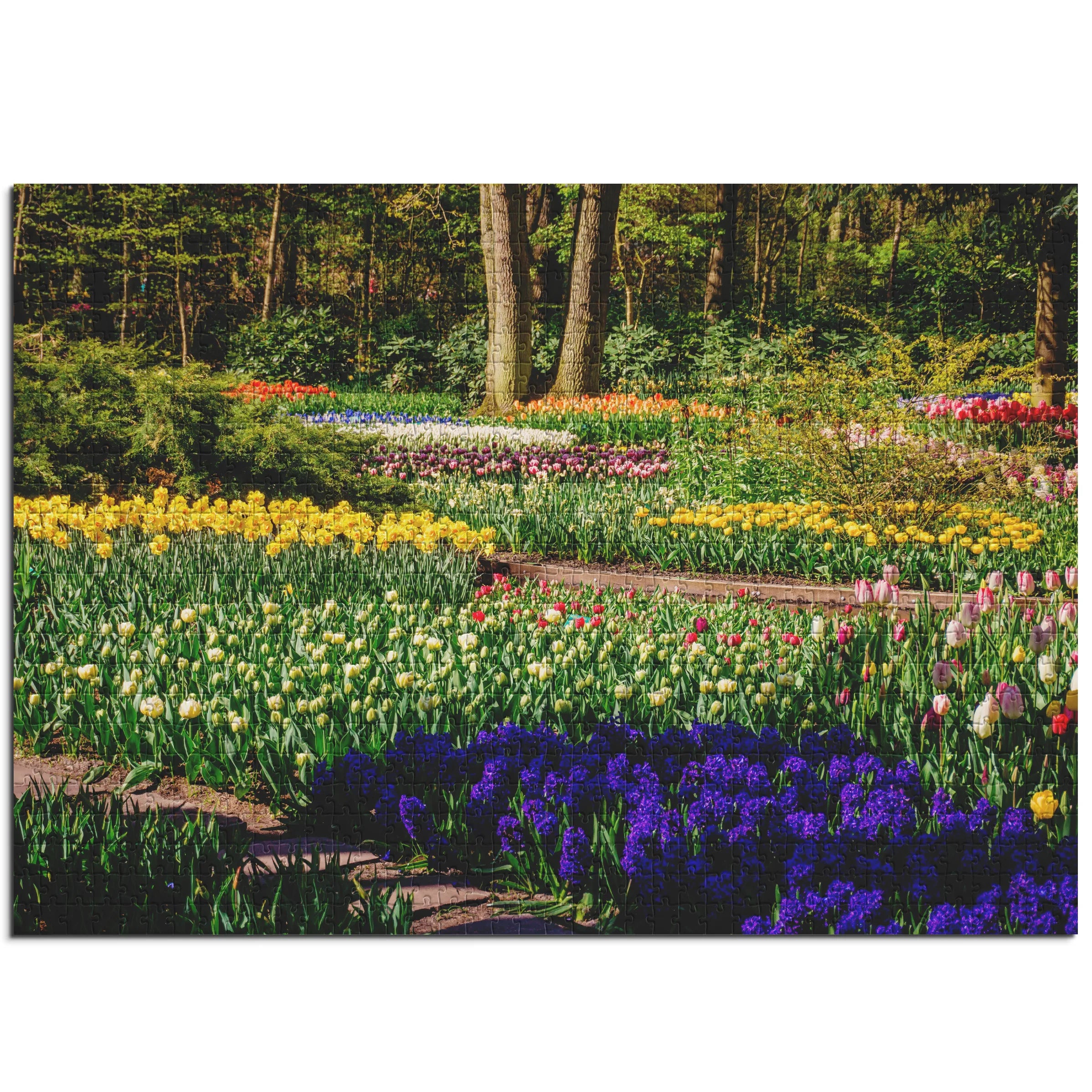 Farbenfroher Frühlingsgarten