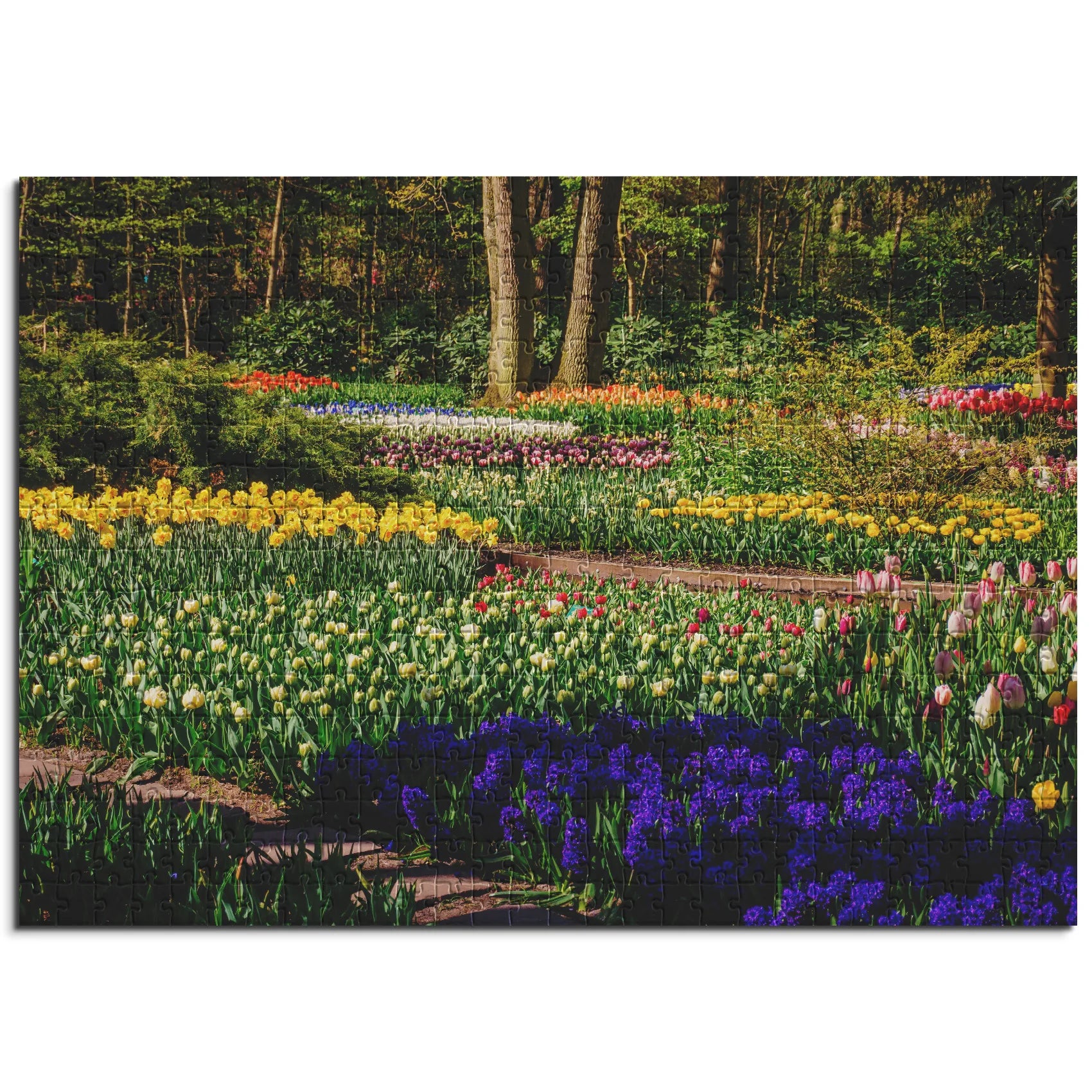 Farbenfroher Frühlingsgarten