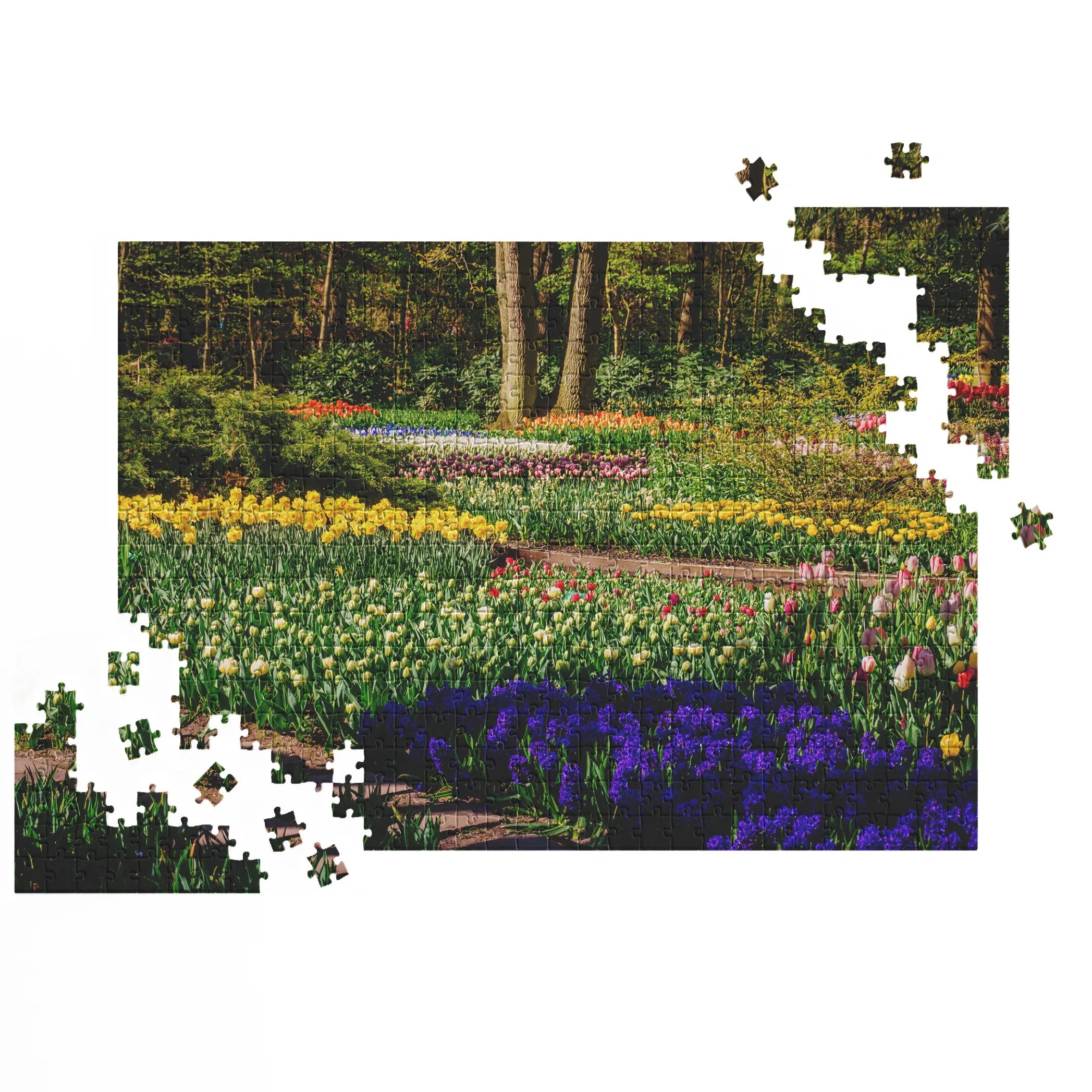 Farbenfroher Frühlingsgarten