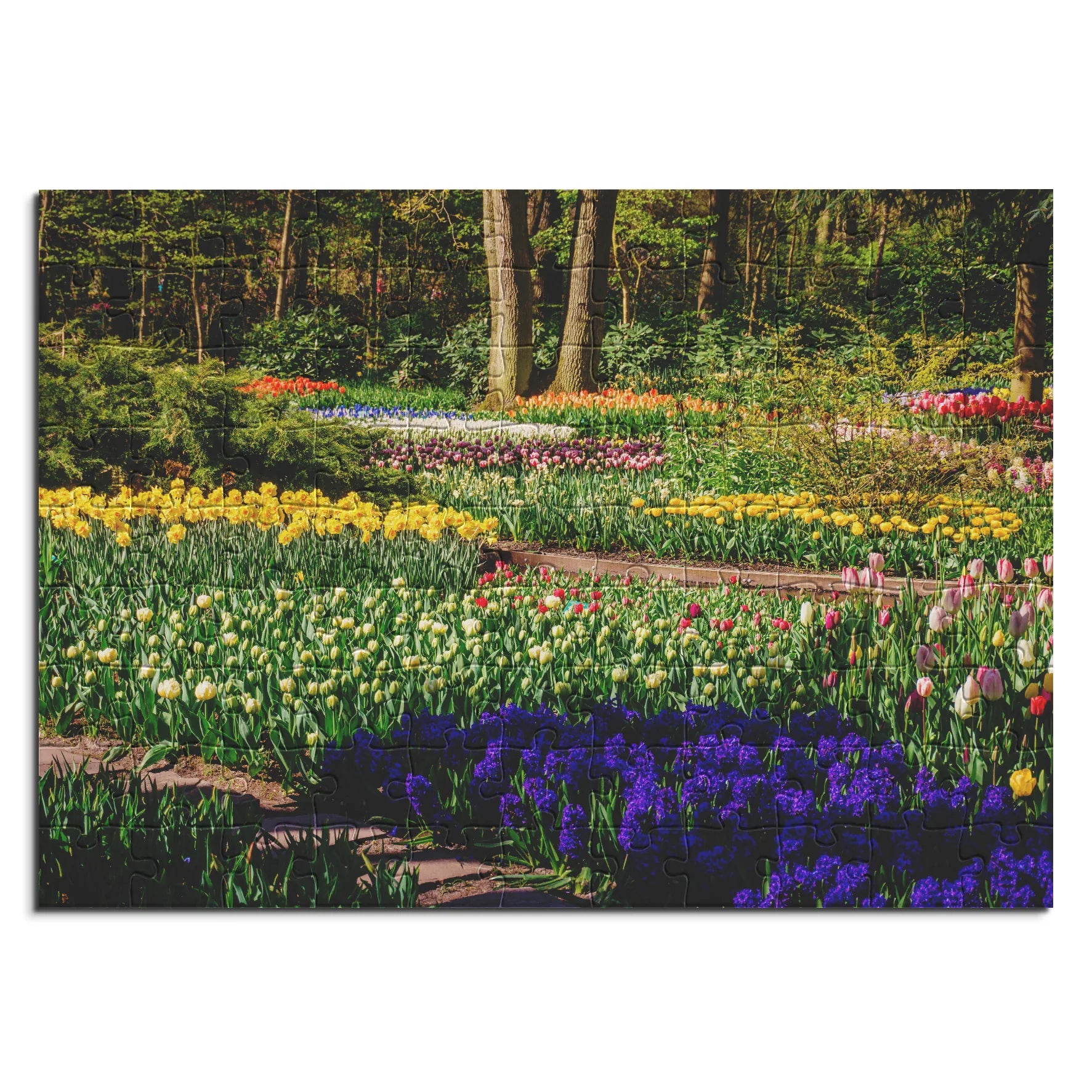 Farbenfroher Frühlingsgarten