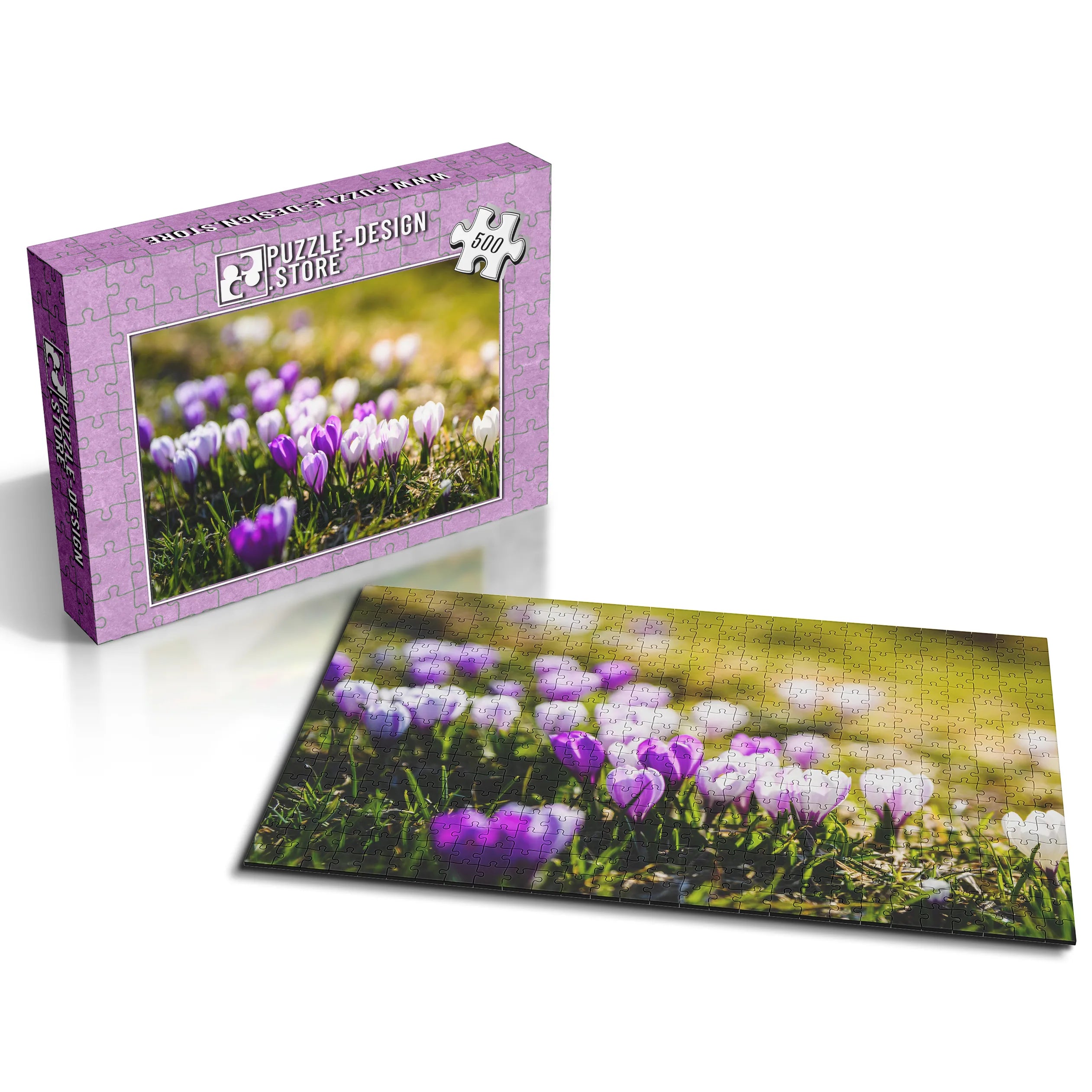 Frühlingshafte Krokusse