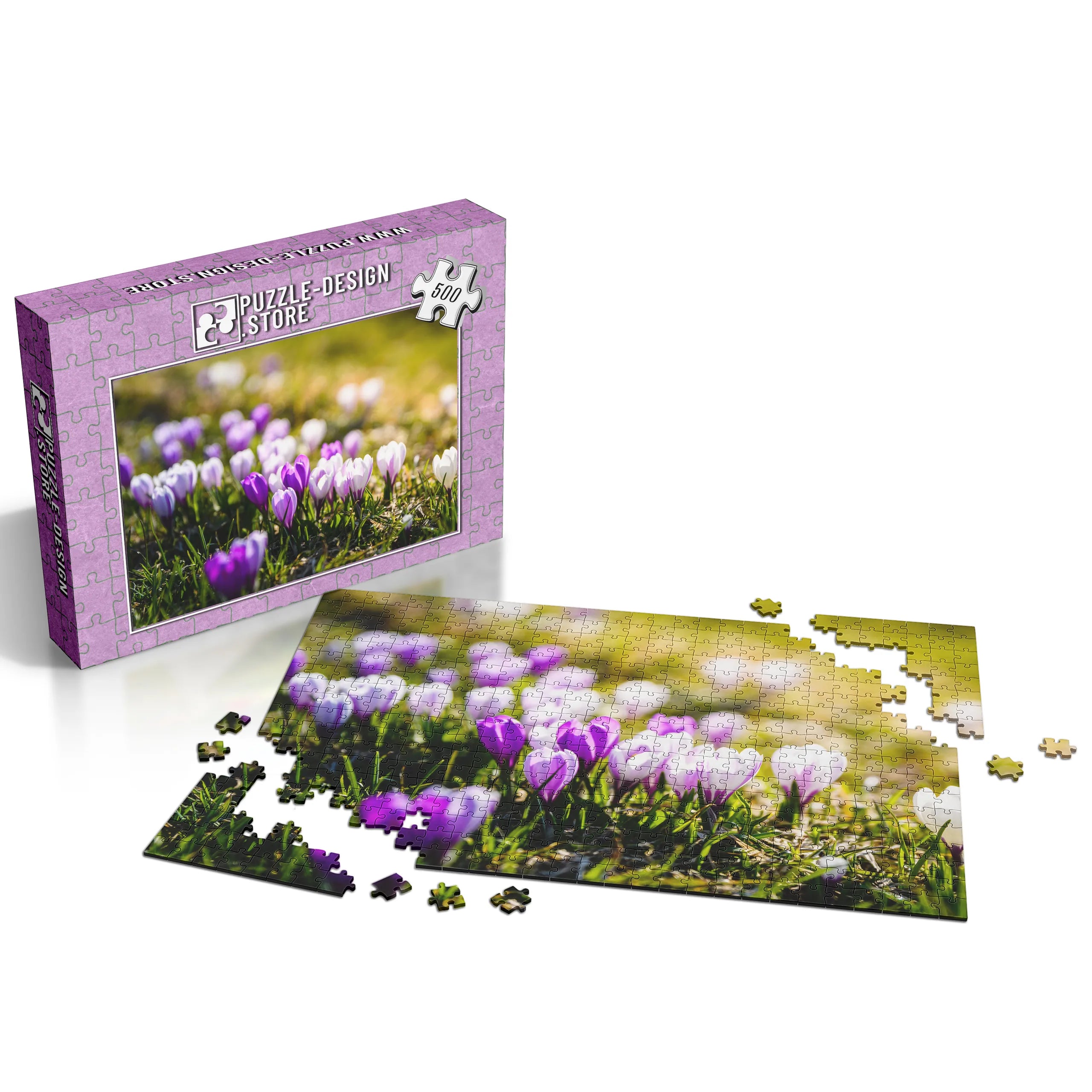 Frühlingshafte Krokusse