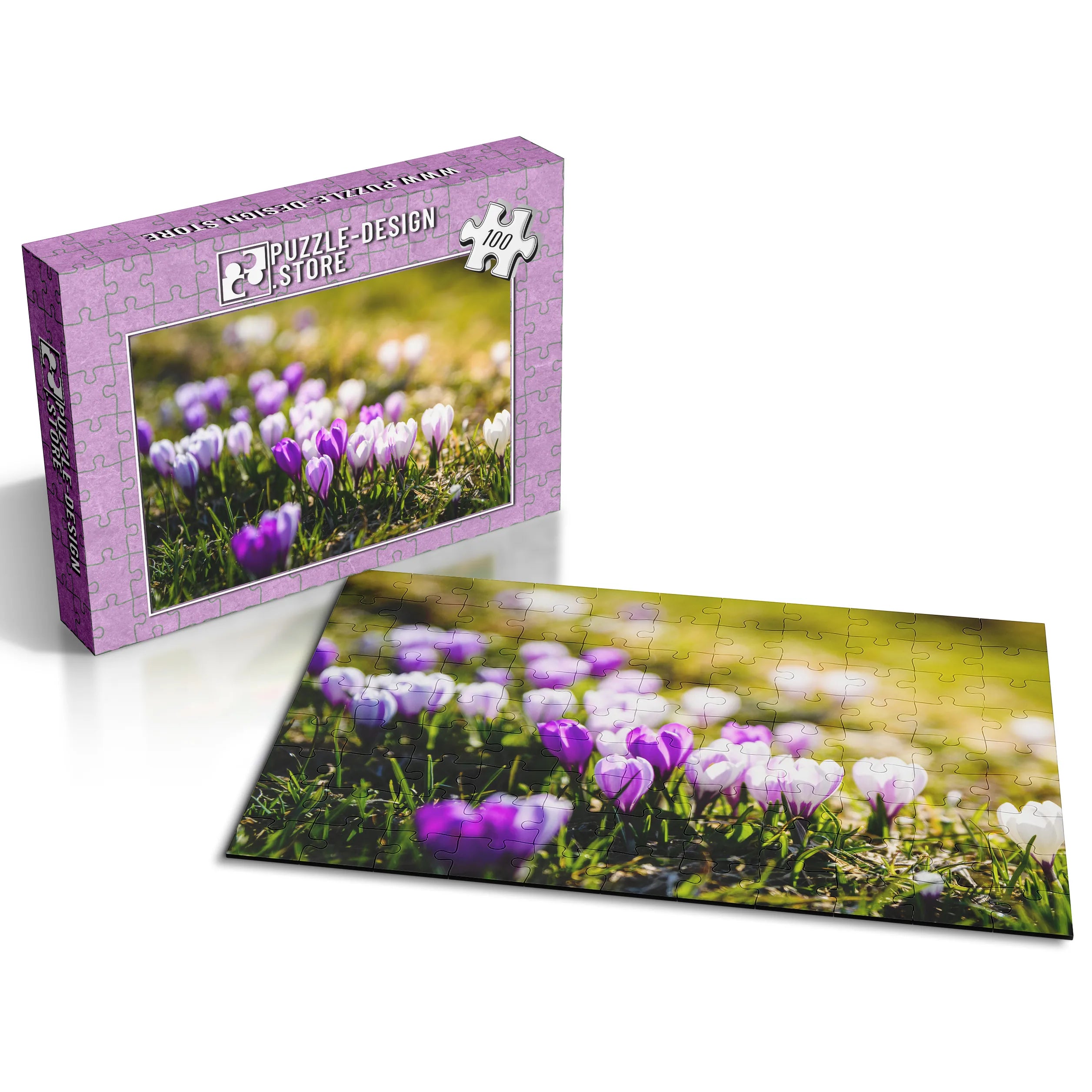 Frühlingshafte Krokusse