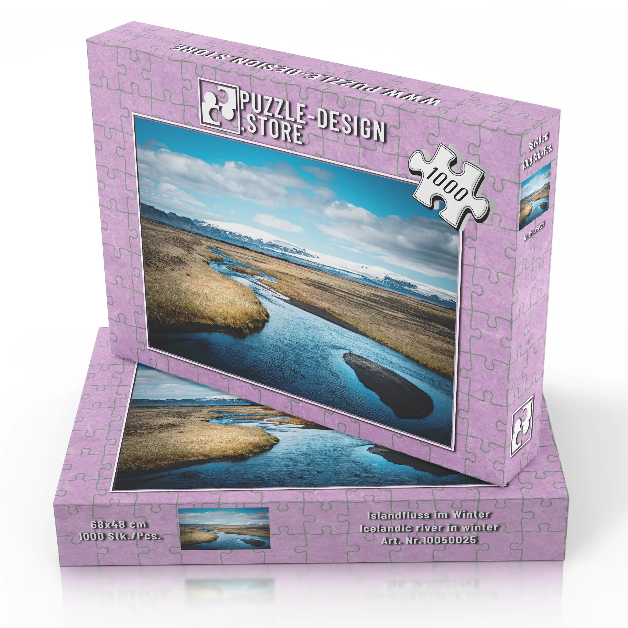 Islandfluss im Winter