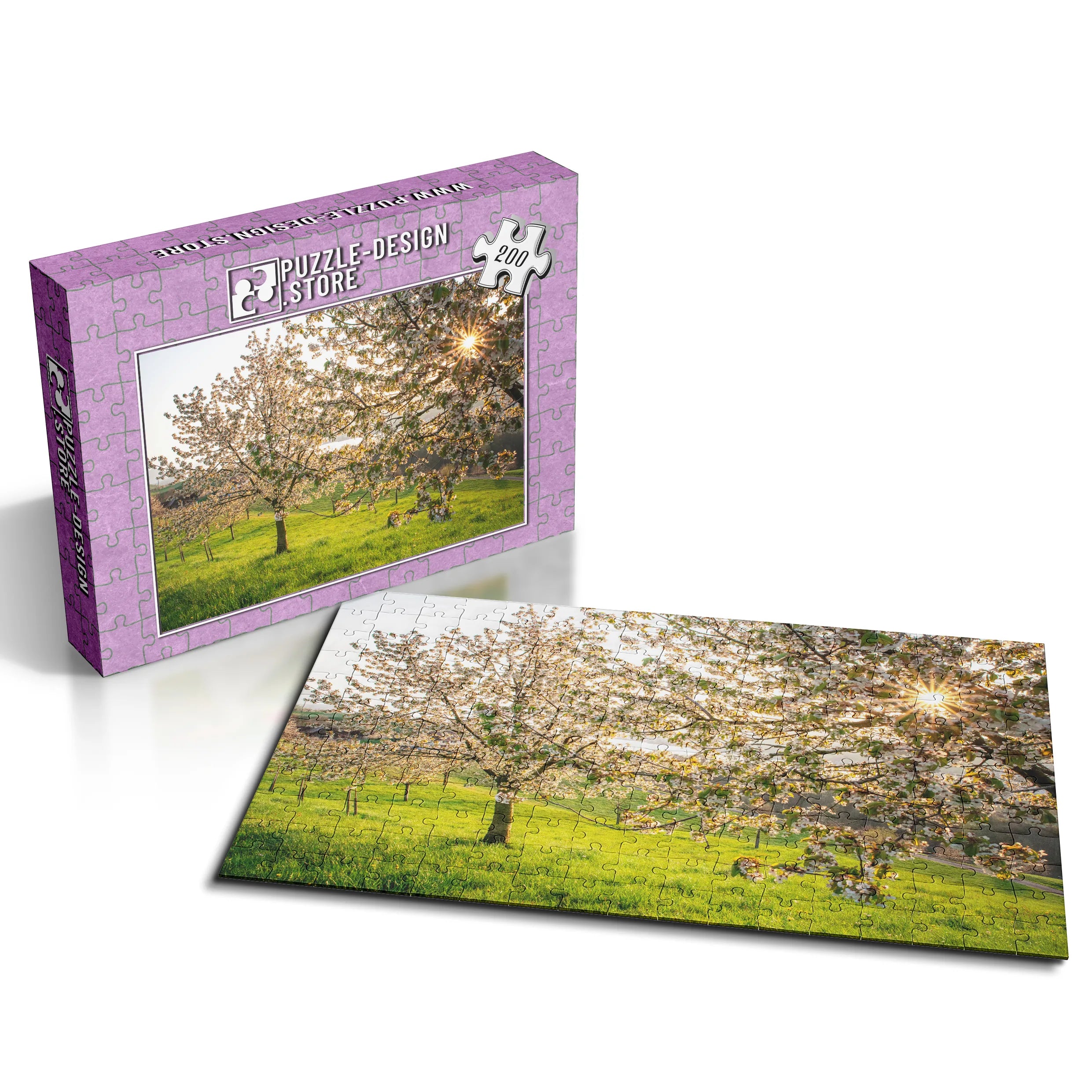 Blühende Kirschbäume