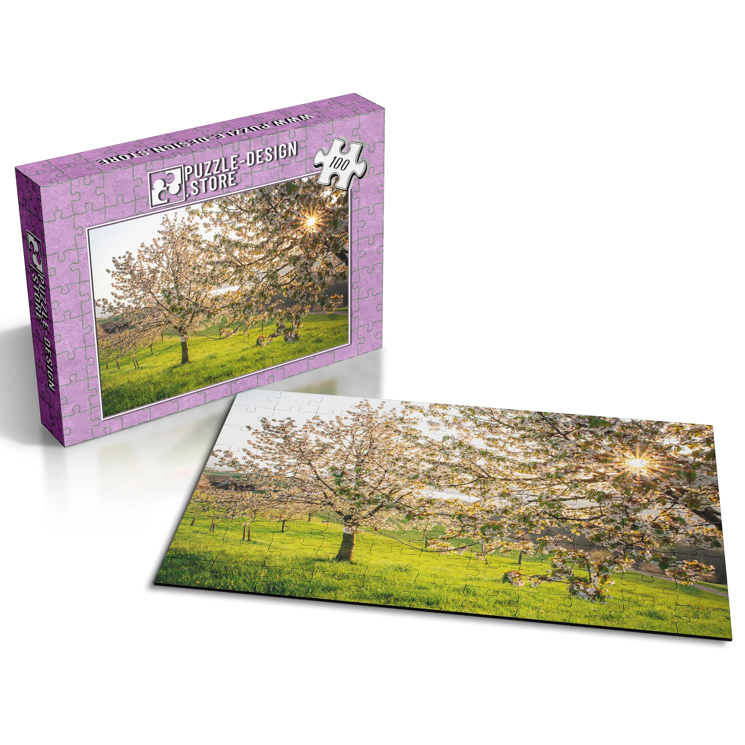 Blühende Kirschbäume