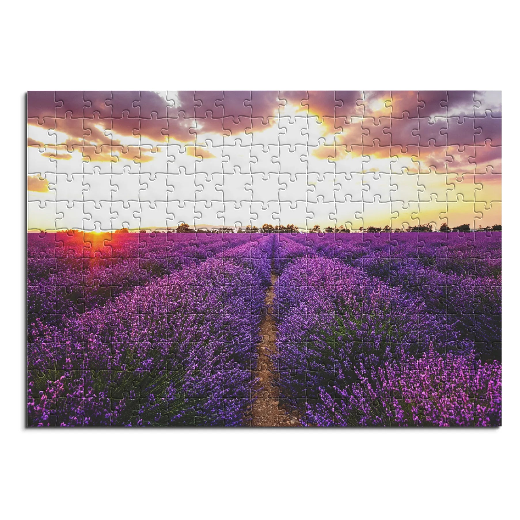 Lavendelfeld bei Sonnenuntergang