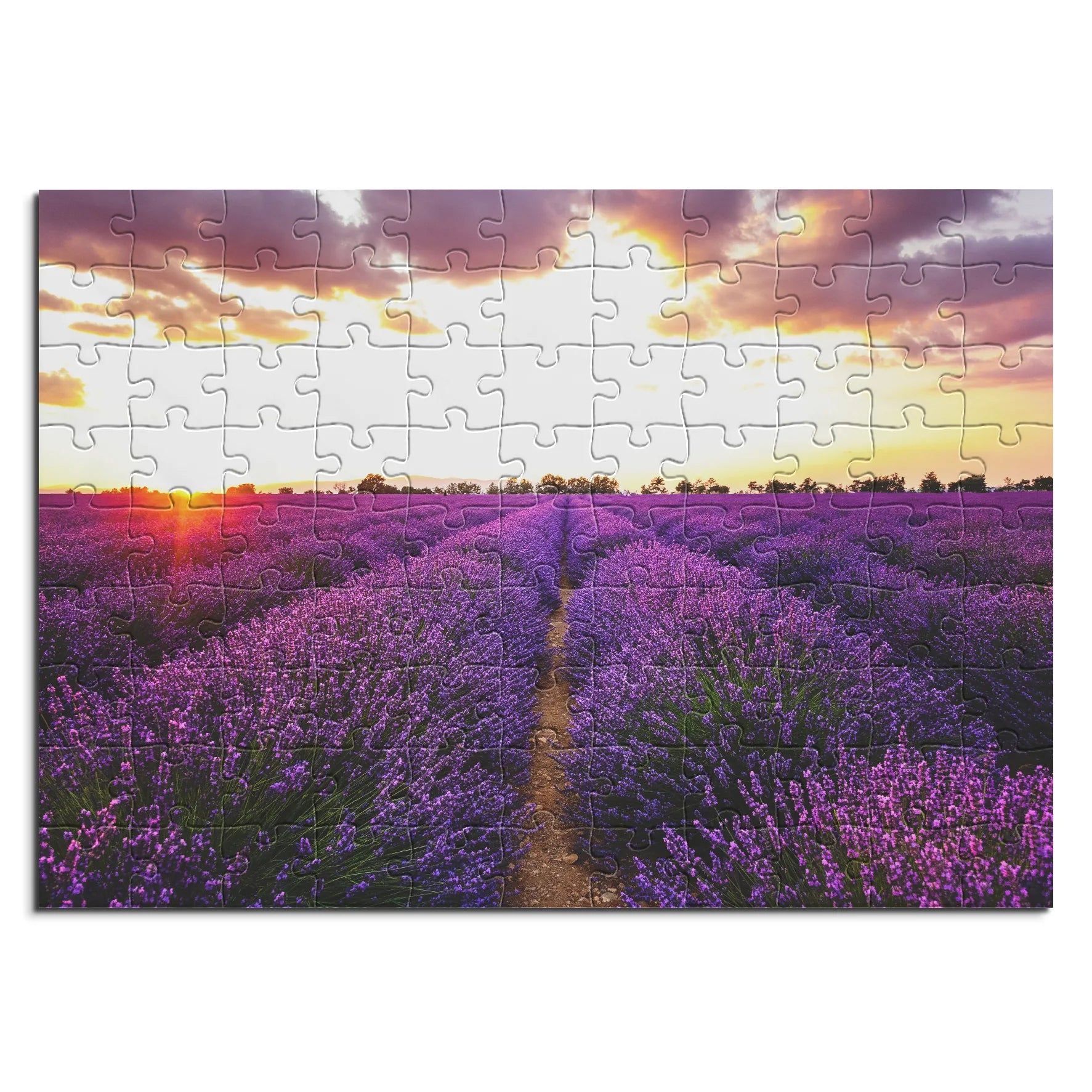 Lavendelfeld bei Sonnenuntergang