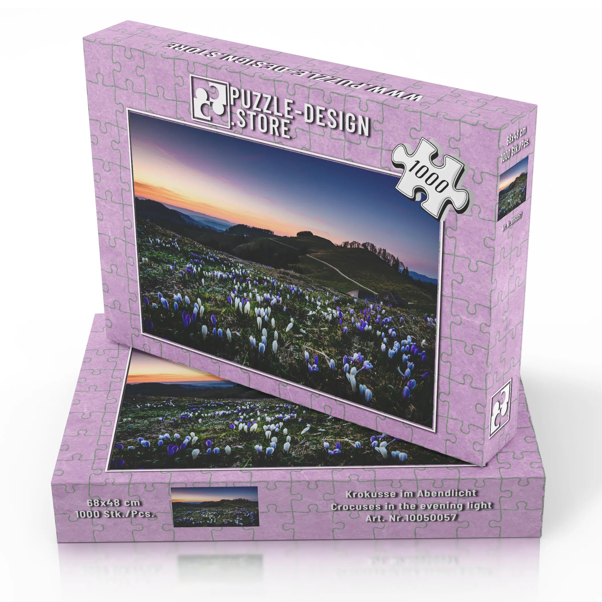 Krokusse im Abendlicht