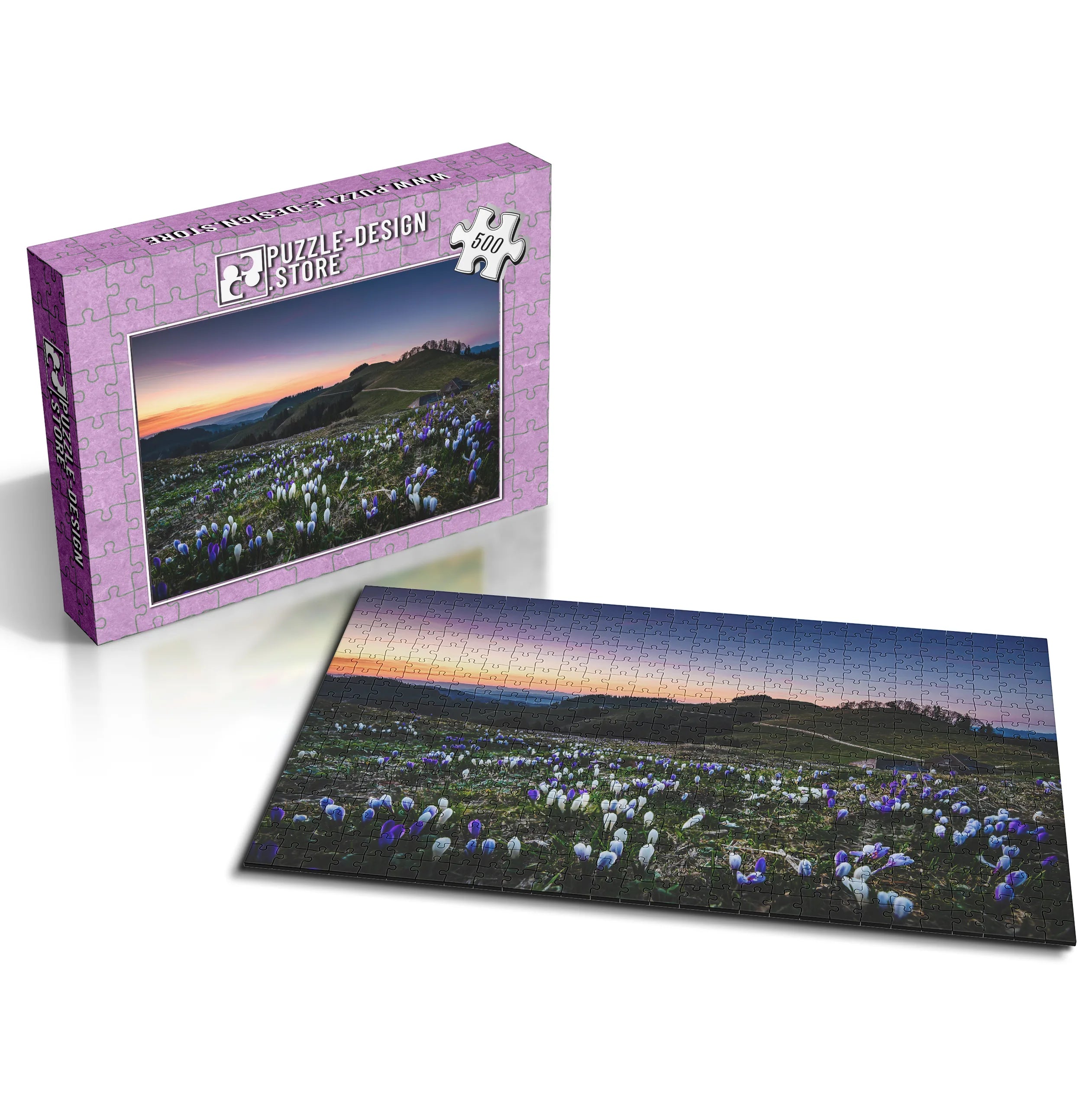 Krokusse im Abendlicht