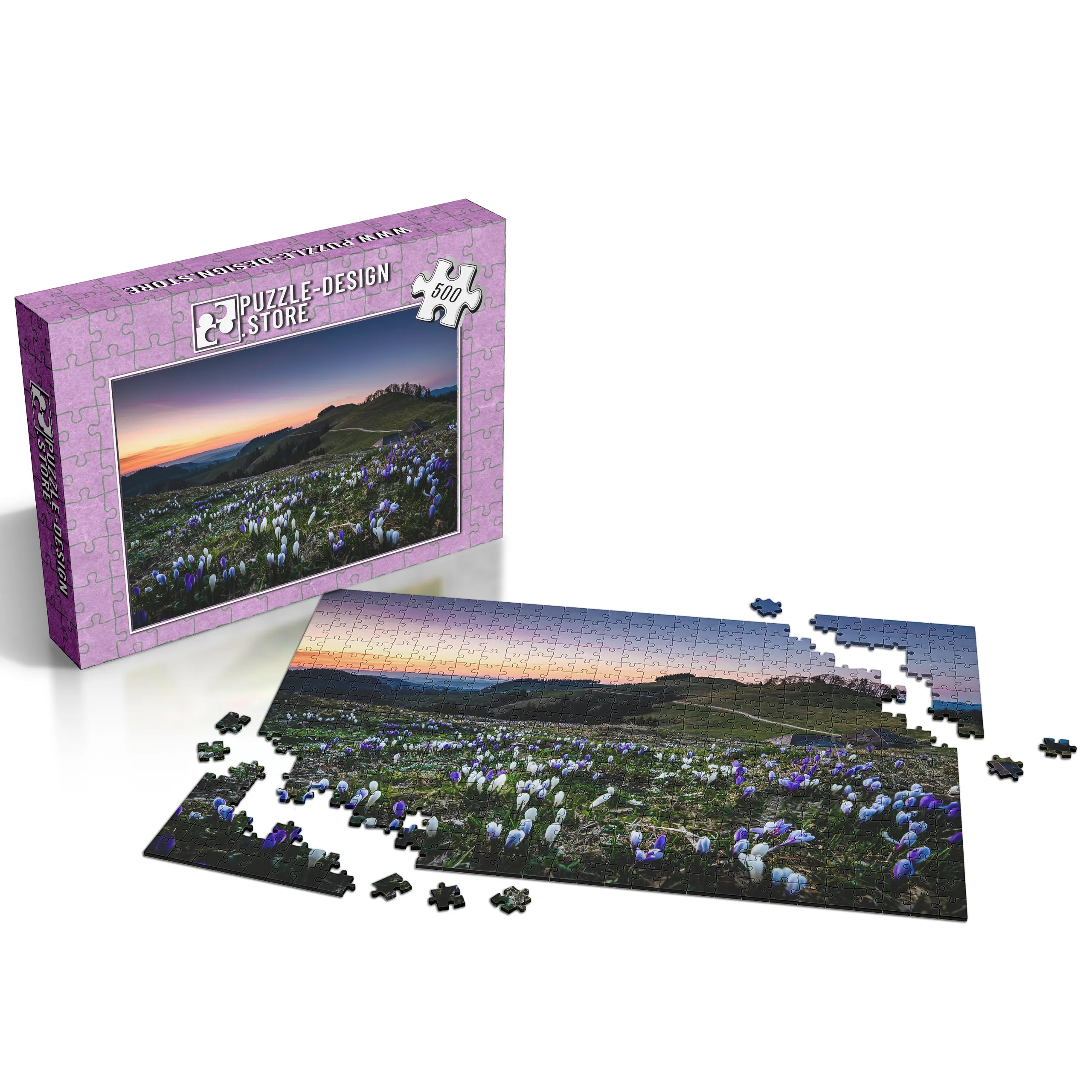 Krokusse im Abendlicht