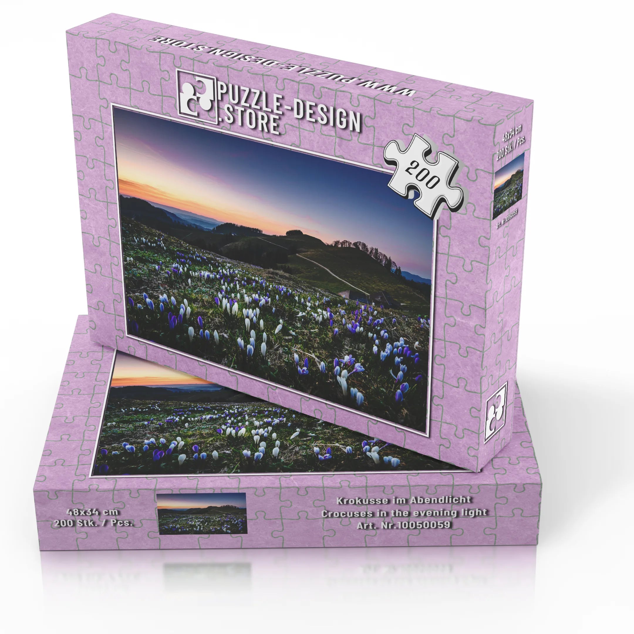 Krokusse im Abendlicht