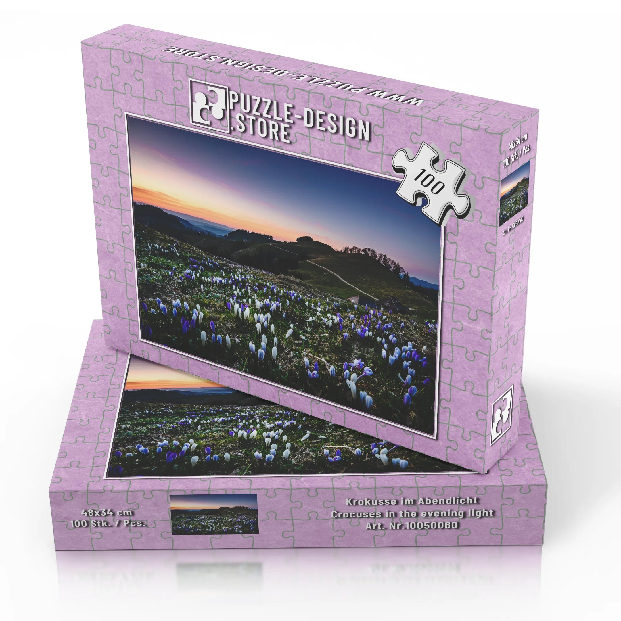 Crocus dans la lumière du soir