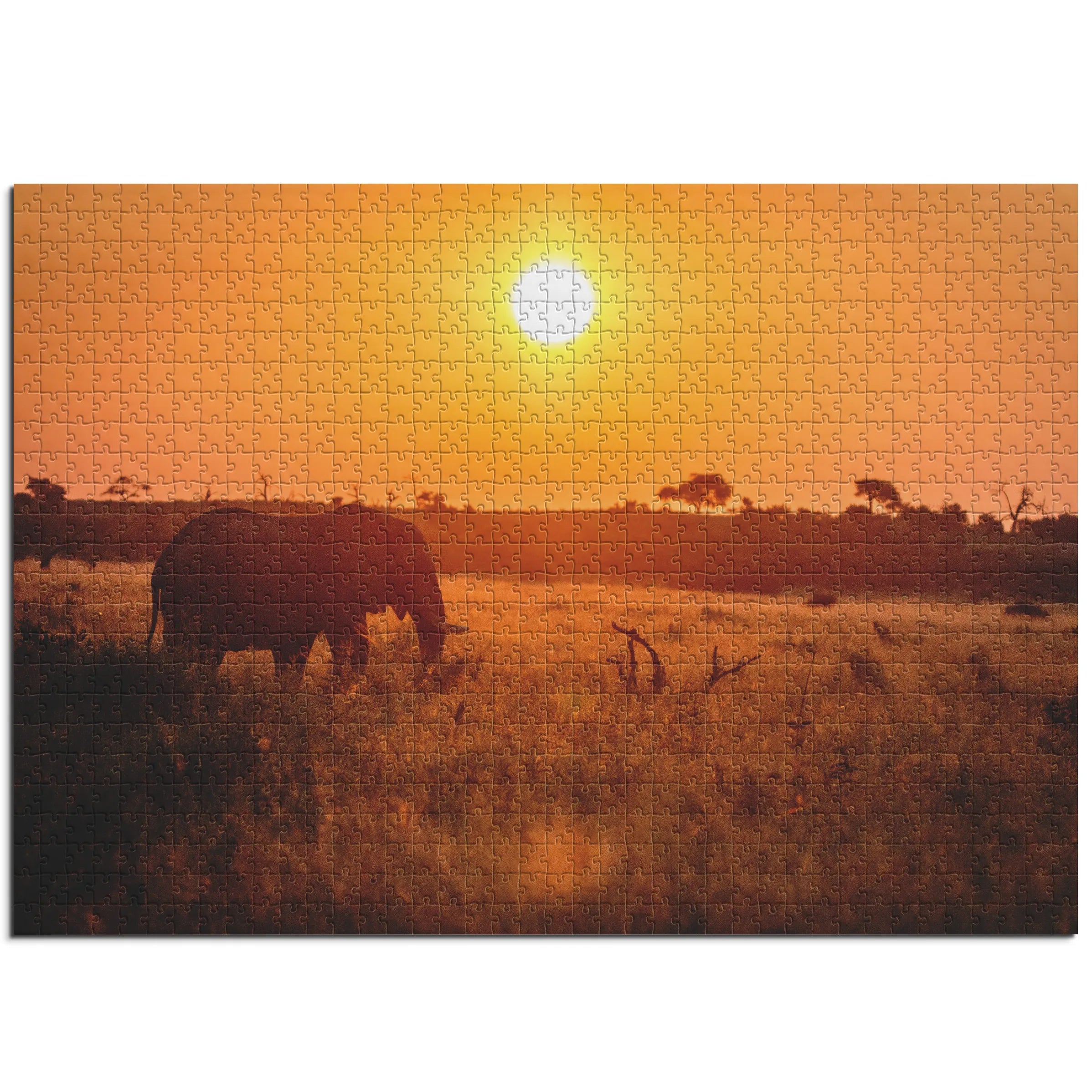 Elefant bei Sonnenuntergang
