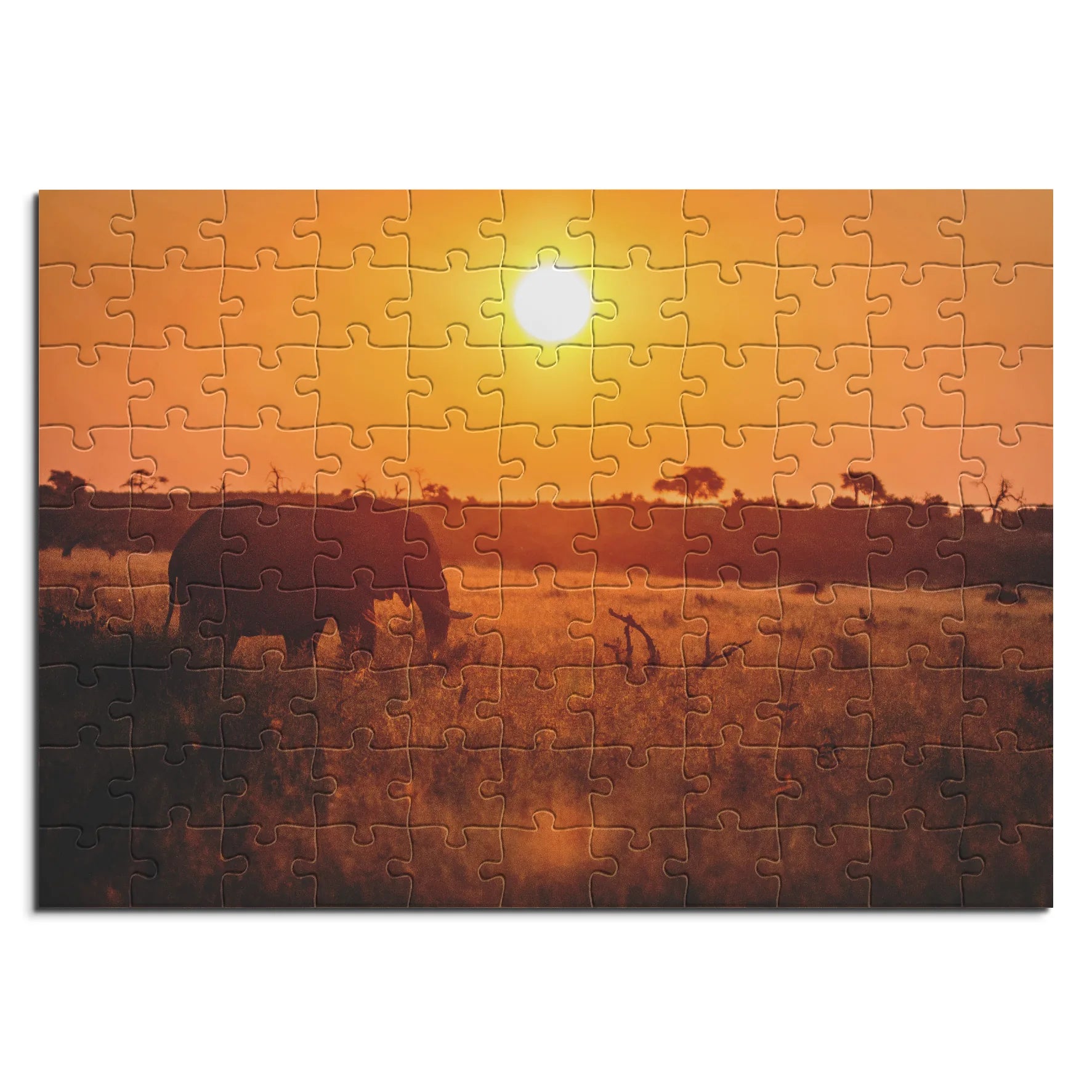 Elefant bei Sonnenuntergang