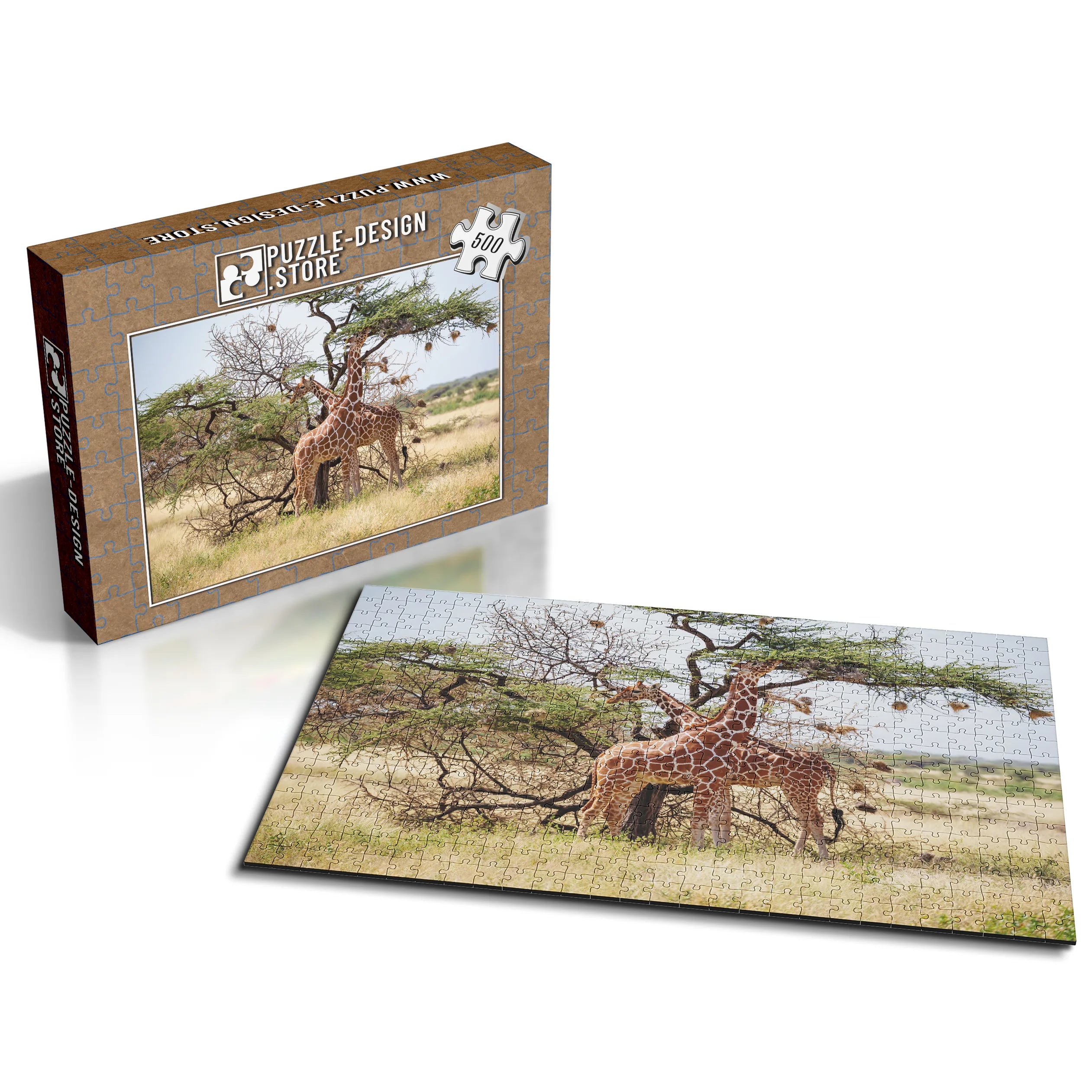 Giraffen unter Akazienbaum