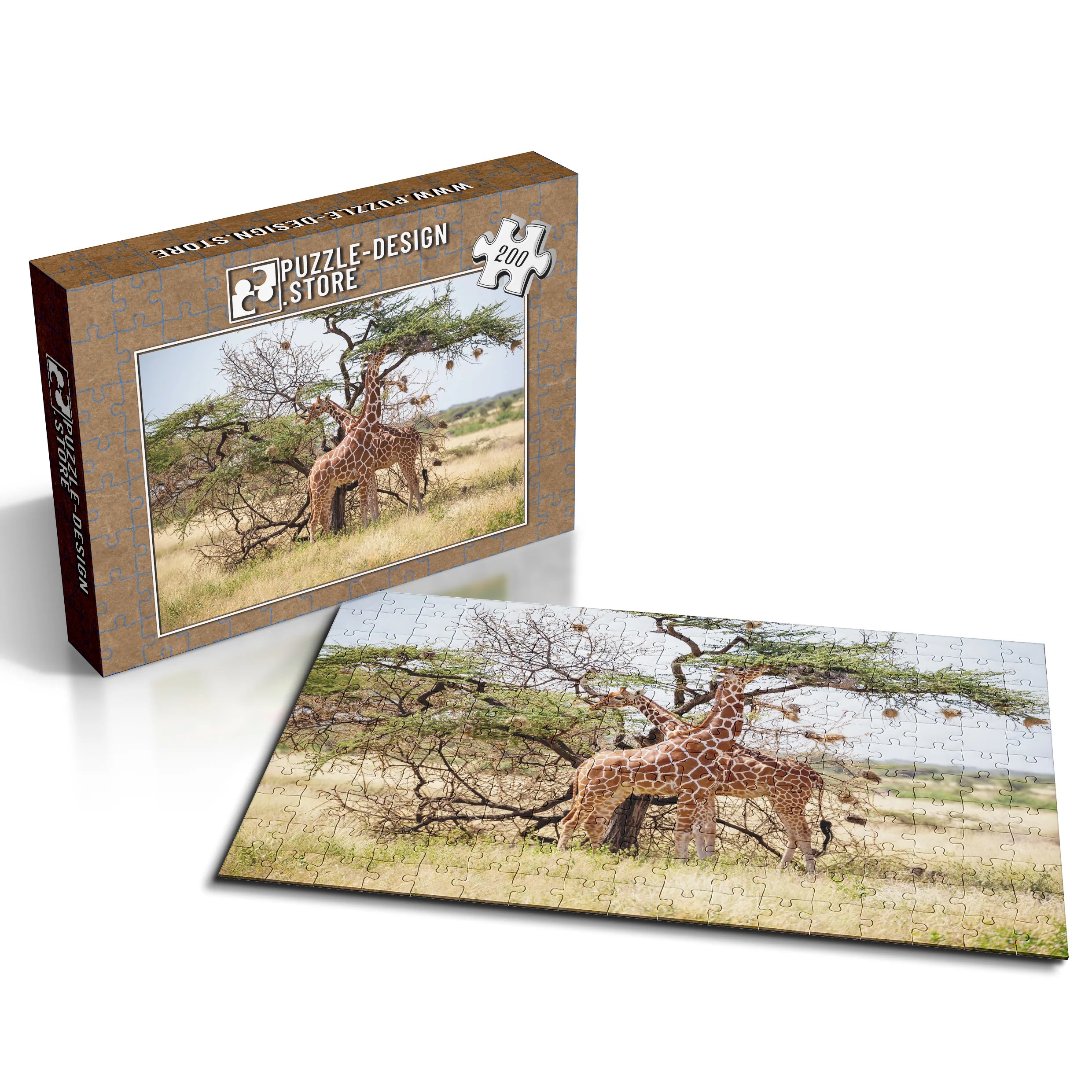 Giraffen unter Akazienbaum