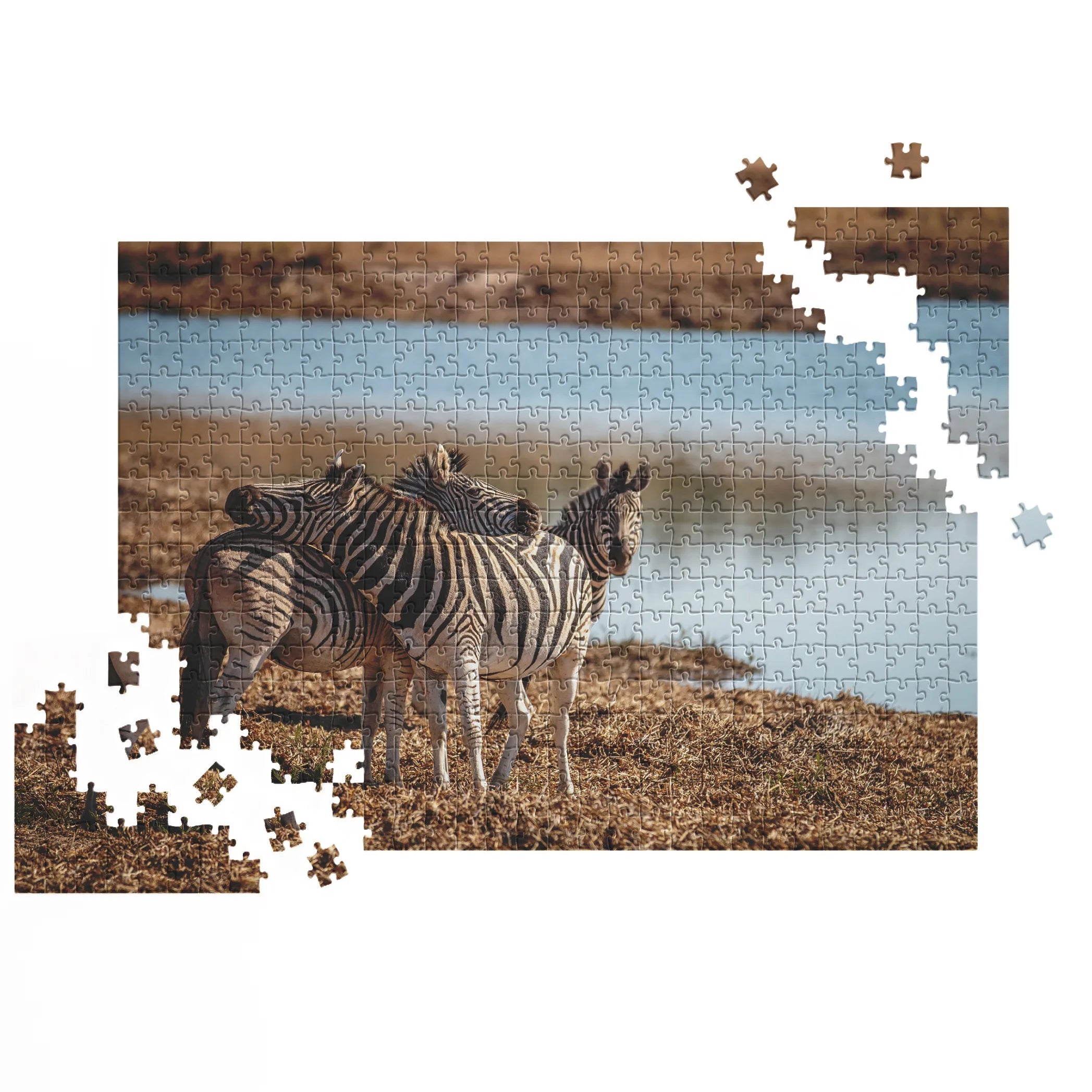 Zebras am Wasserloch