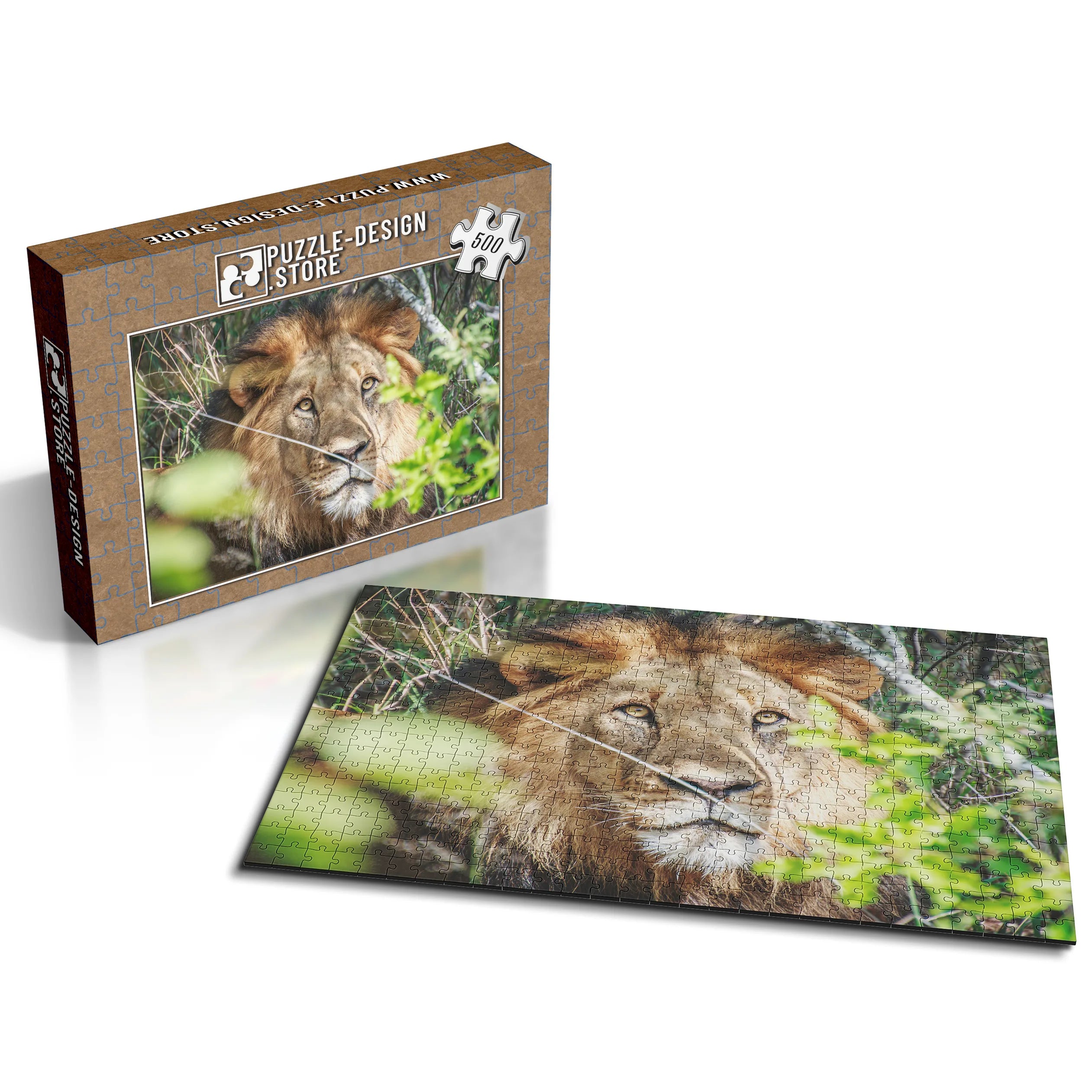 Lion dans les buissons